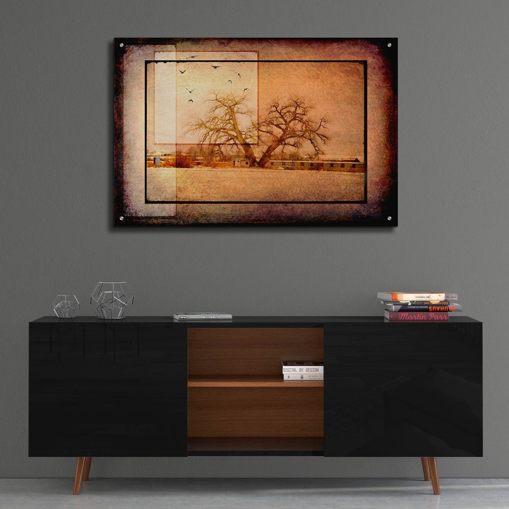 Epic Art 'For the Love of Trees V' by Lightbox Journal, Acrylic Glass Wall Art,36x24