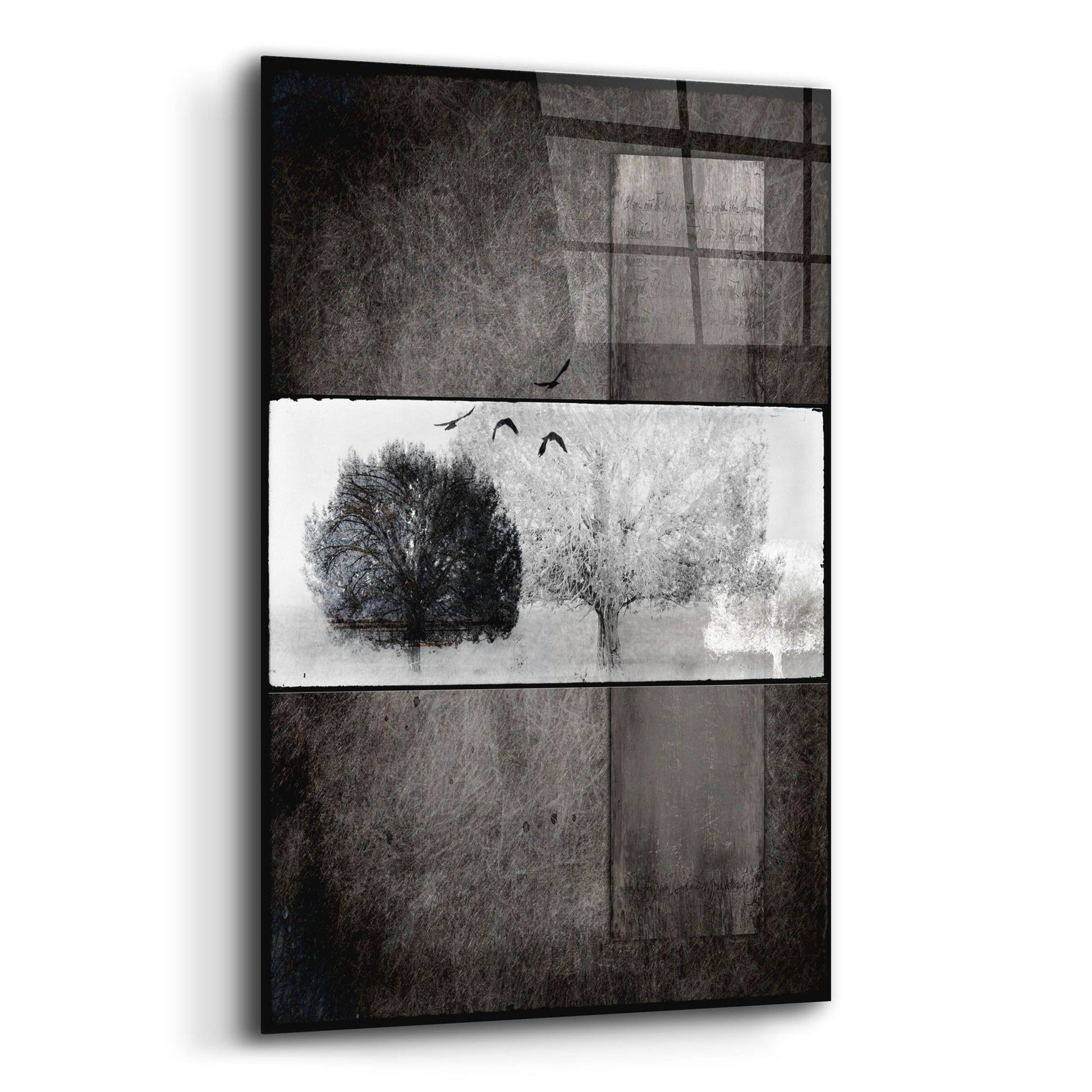 Epic Art 'Black Tree 1' by Lightbox Journal, Acrylic Glass Wall Art,12x16