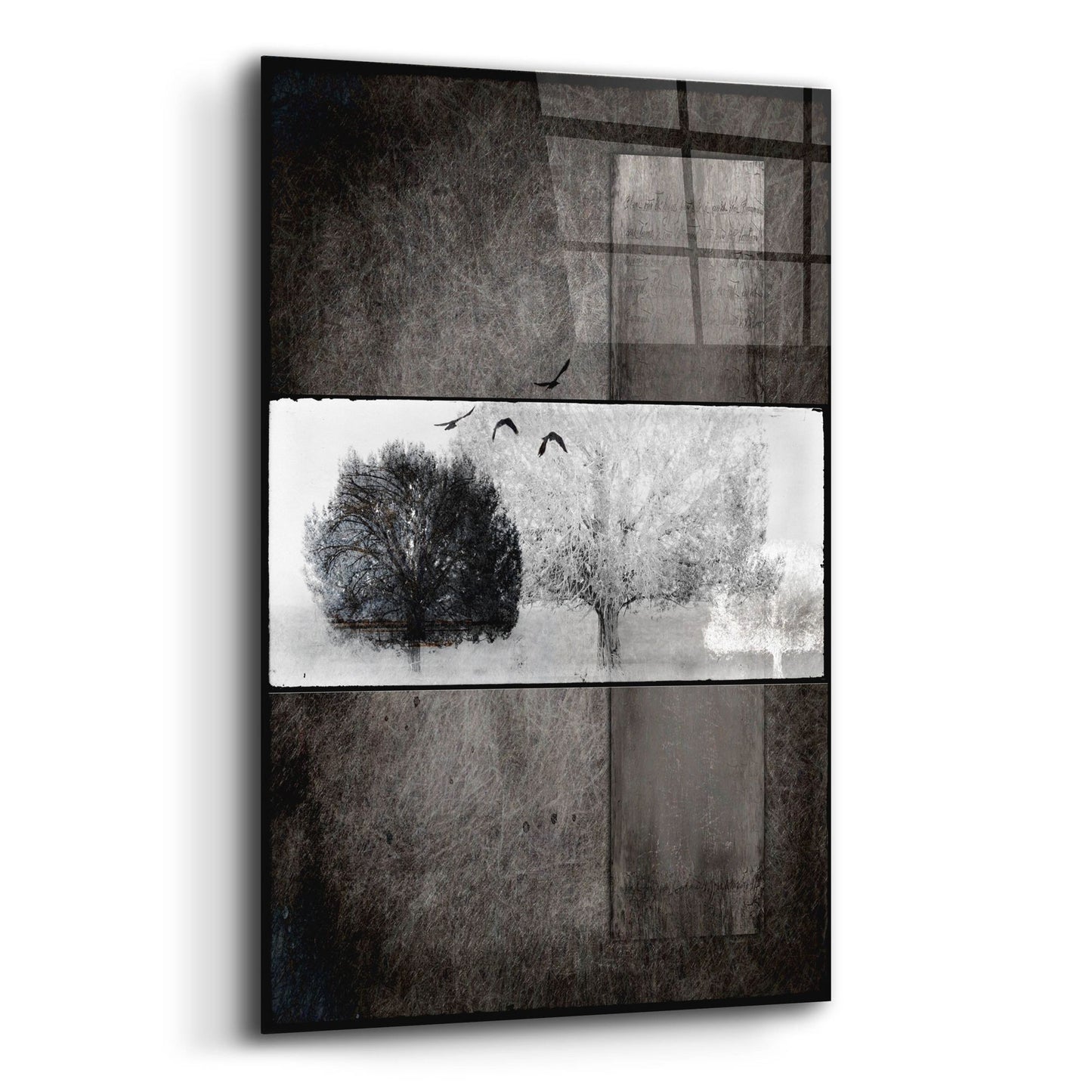 Epic Art 'Black Tree 1' by Lightbox Journal, Acrylic Glass Wall Art,16x24