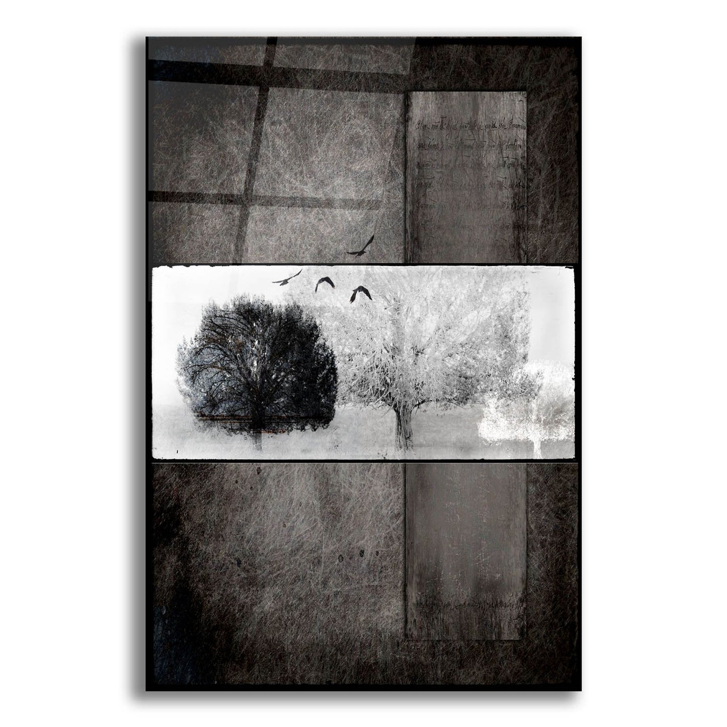 Epic Art 'Black Tree 1' by Lightbox Journal, Acrylic Glass Wall Art