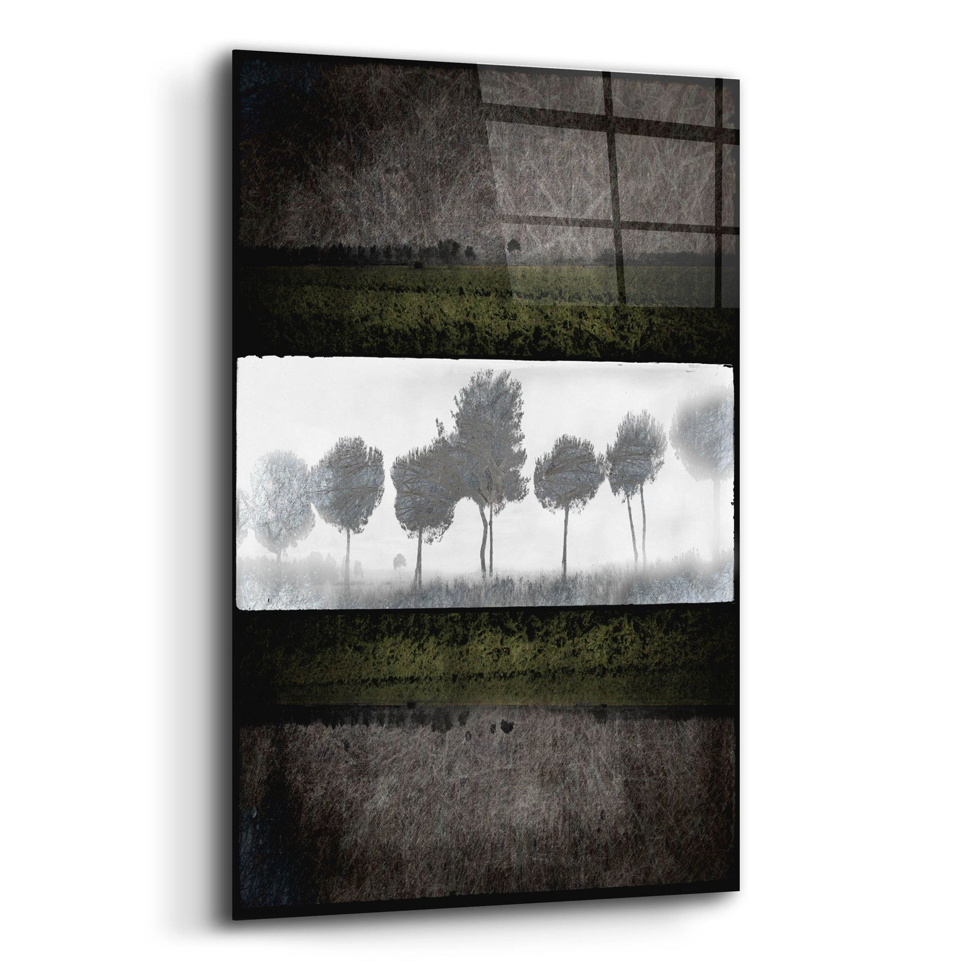 Epic Art 'Black Tree 2' by Lightbox Journal, Acrylic Glass Wall Art,12x16