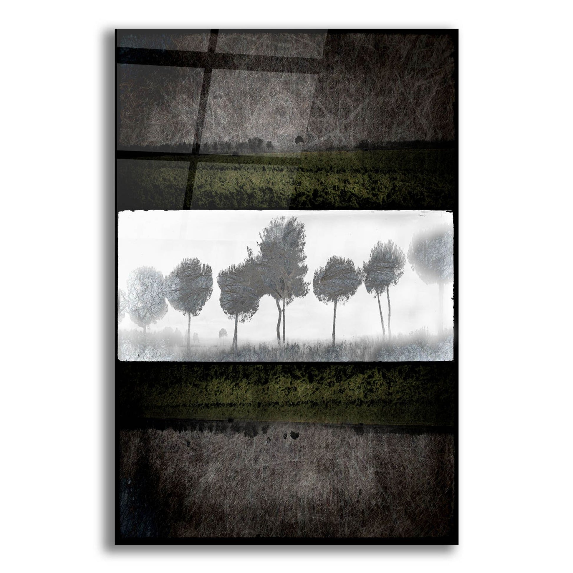 Epic Art 'Black Tree 2' by Lightbox Journal, Acrylic Glass Wall Art,12x16