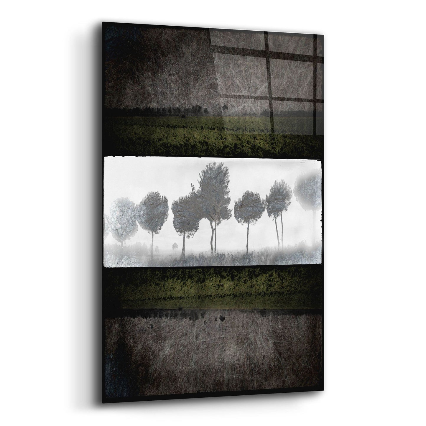 Epic Art 'Black Tree 2' by Lightbox Journal, Acrylic Glass Wall Art,16x24