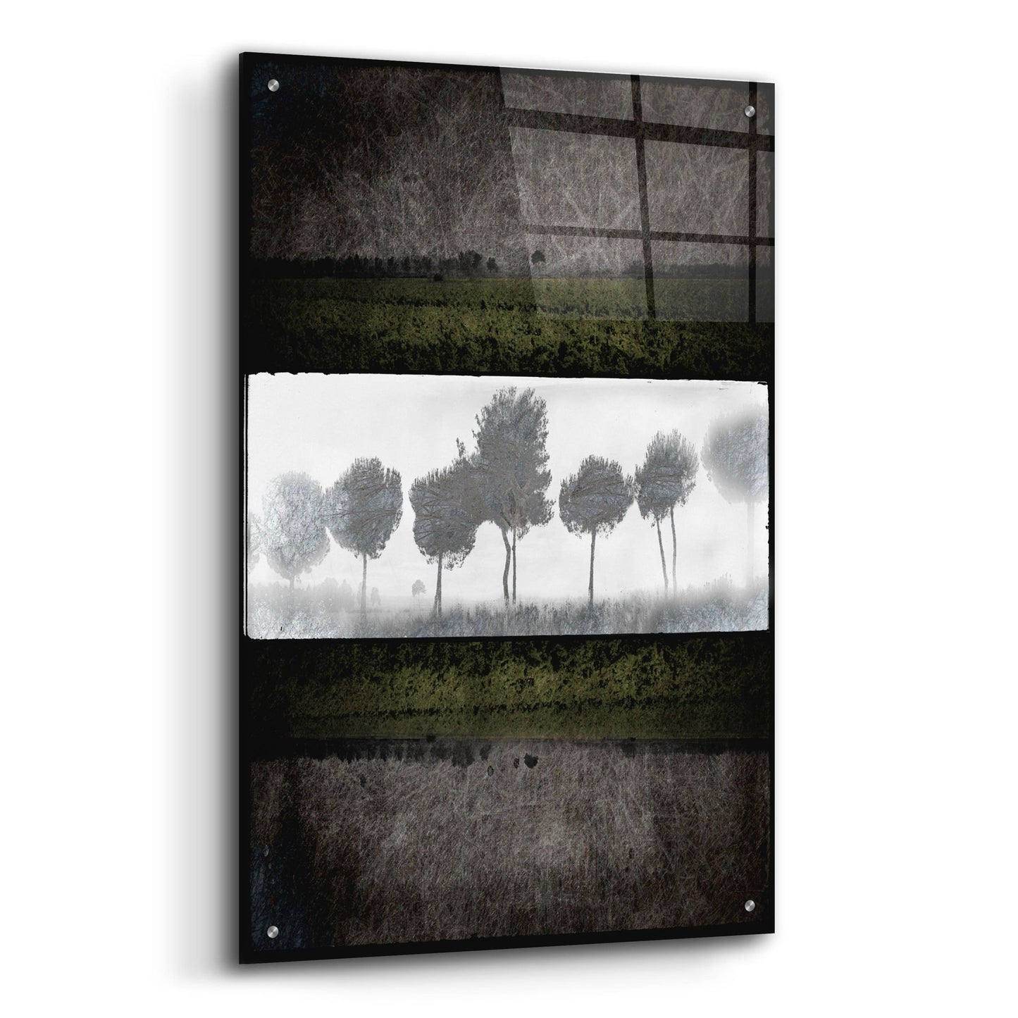 Epic Art 'Black Tree 2' by Lightbox Journal, Acrylic Glass Wall Art,24x36