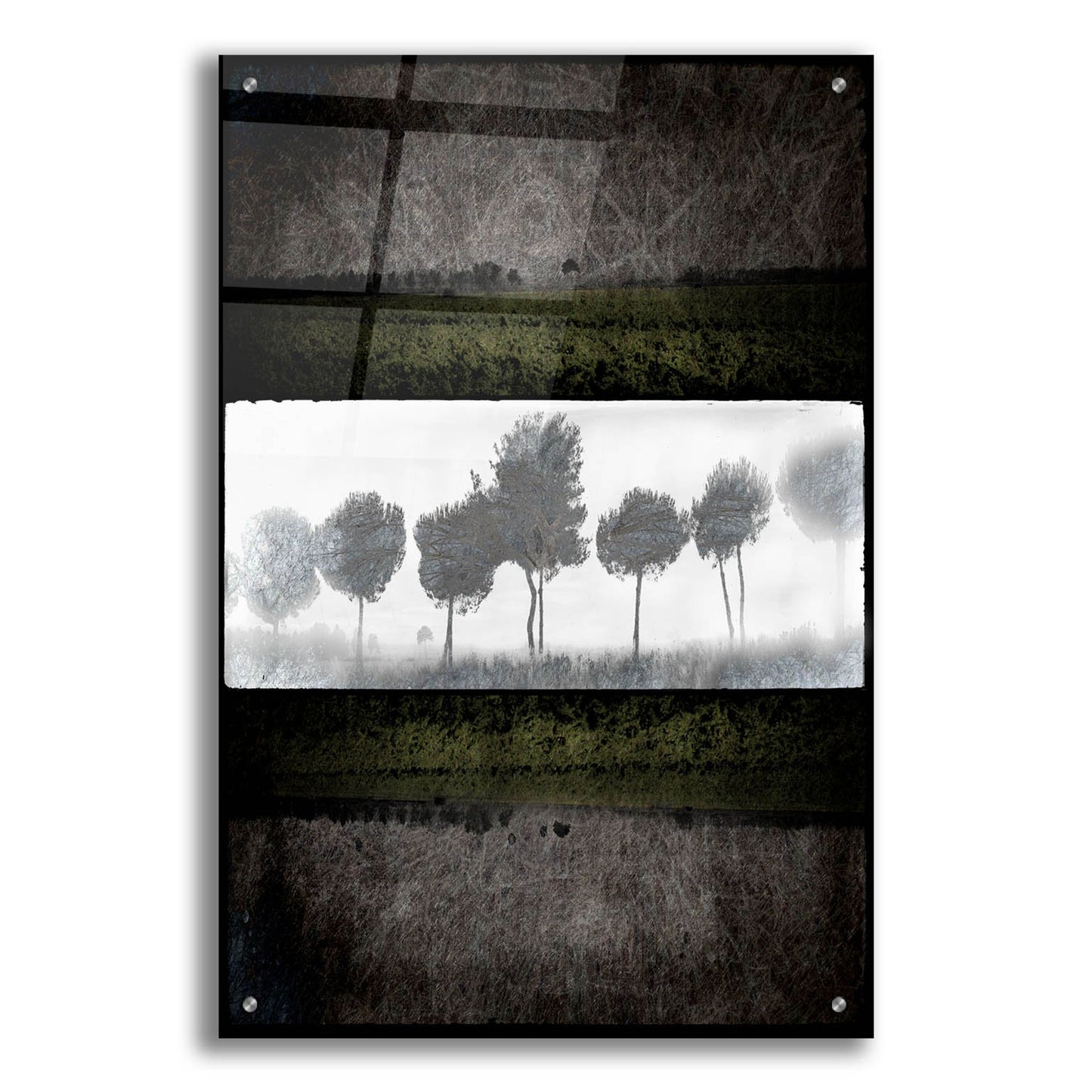 Epic Art 'Black Tree 2' by Lightbox Journal, Acrylic Glass Wall Art,24x36