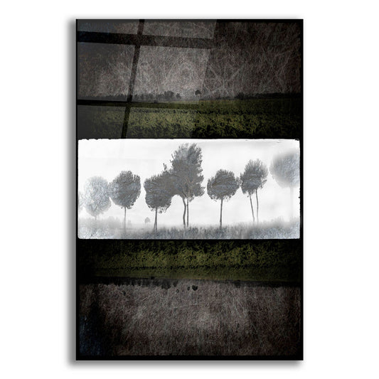 Epic Art 'Black Tree 2' by Lightbox Journal, Acrylic Glass Wall Art