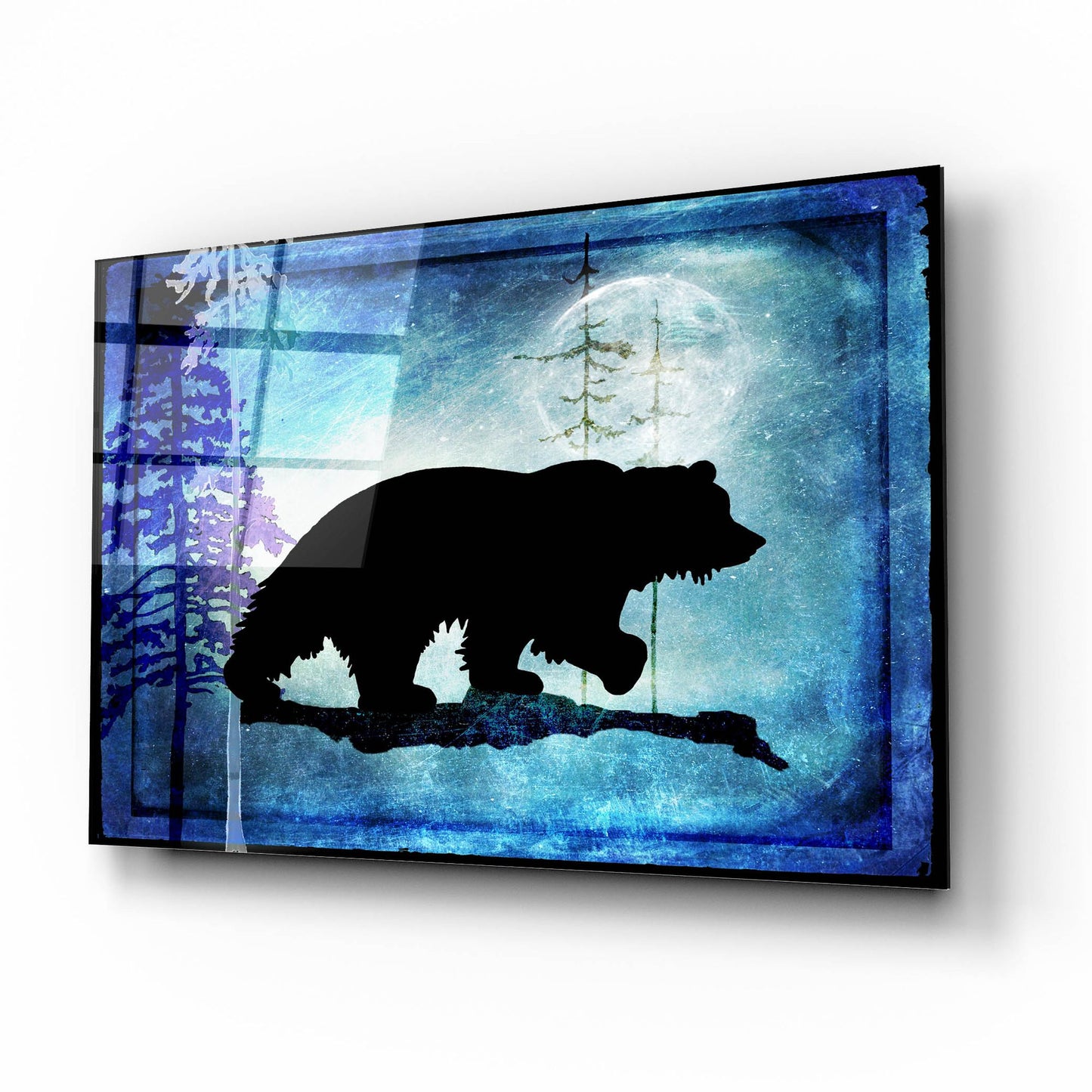 Epic Art 'Midnight Bear' by Lightbox Journal, Acrylic Glass Wall Art,16x12