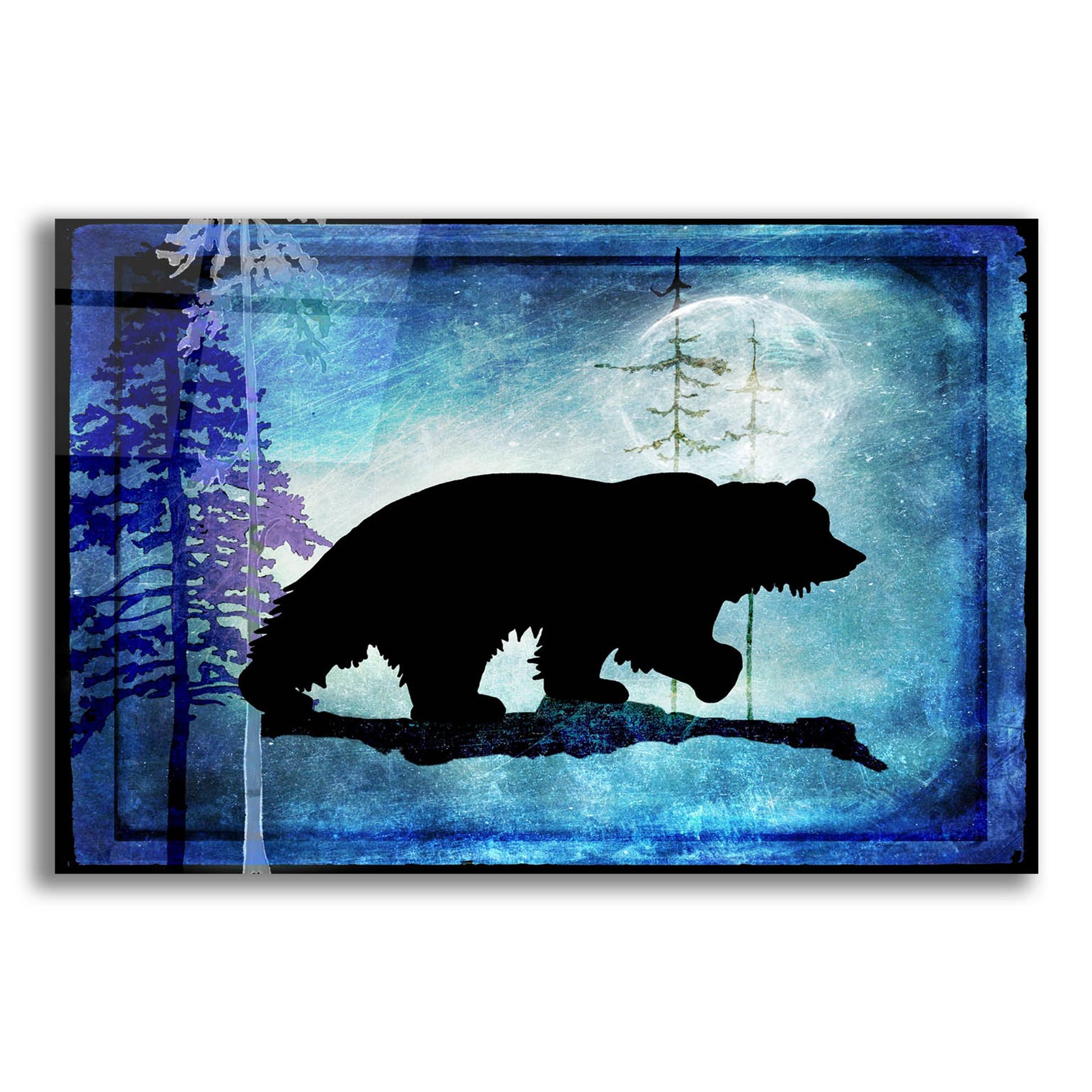 Epic Art 'Midnight Bear' by Lightbox Journal, Acrylic Glass Wall Art,16x12