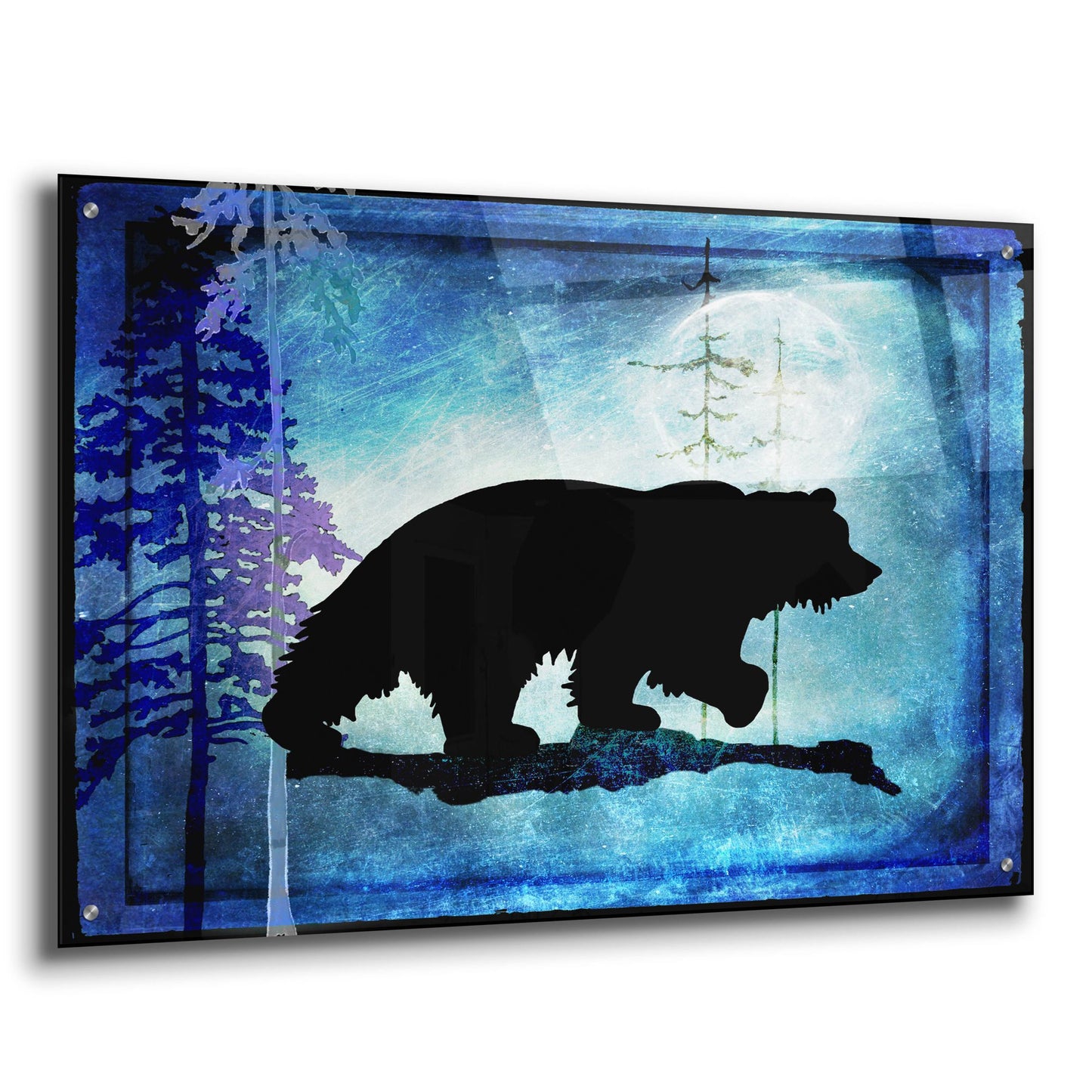 Epic Art 'Midnight Bear' by Lightbox Journal, Acrylic Glass Wall Art,36x24