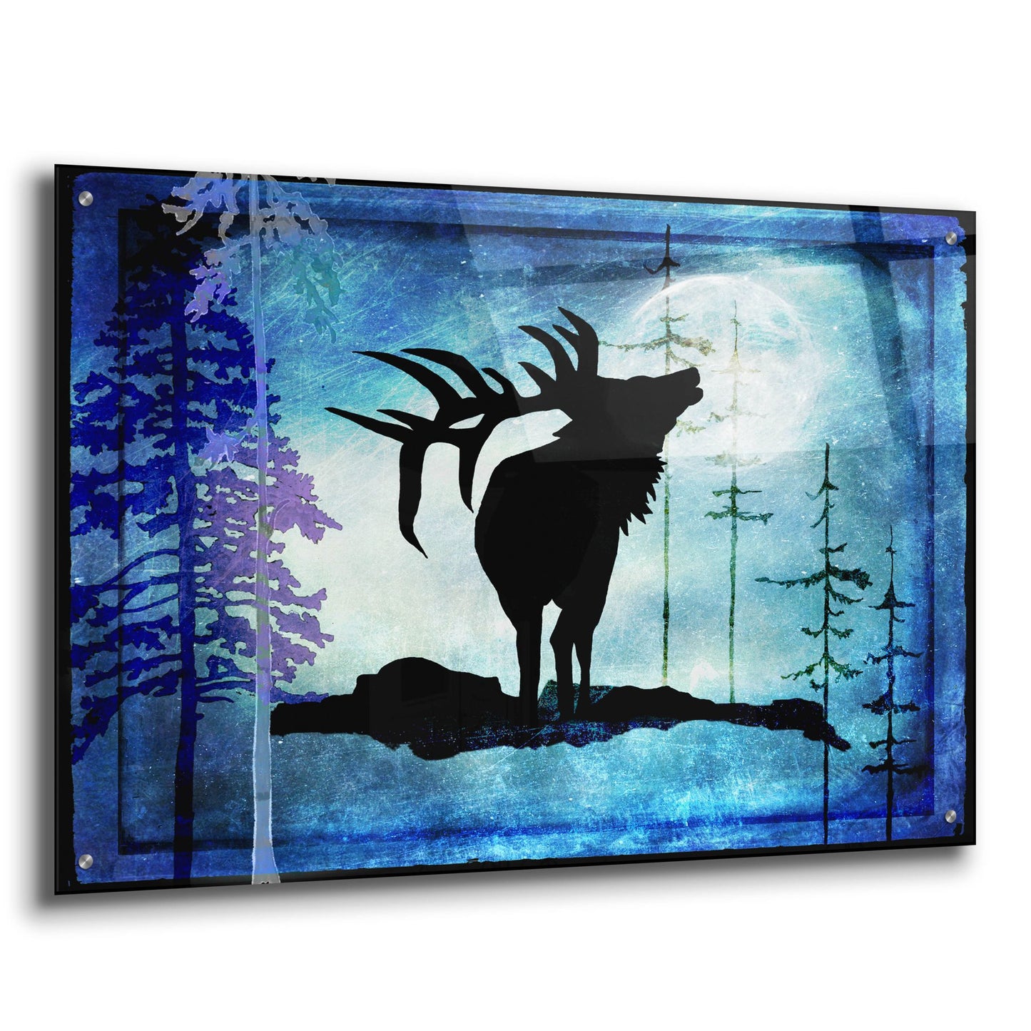 Epic Art 'Midnight Elk' by Lightbox Journal, Acrylic Glass Wall Art,36x24