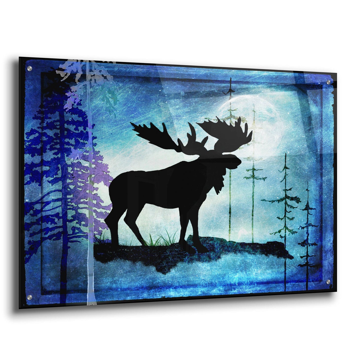 Epic Art 'Midnight Moose' by Lightbox Journal, Acrylic Glass Wall Art,36x24