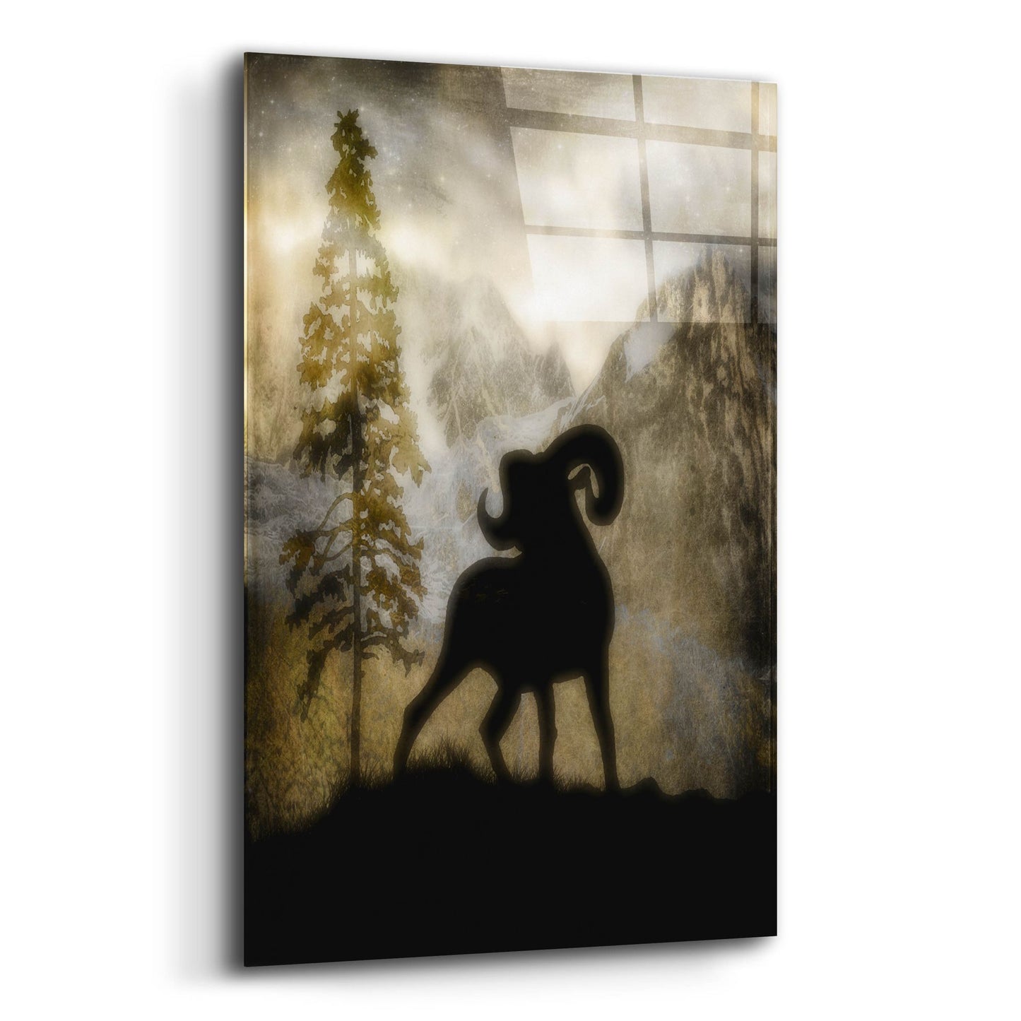 Epic Art 'Mystic Big Horn' by Lightbox Journal, Acrylic Glass Wall Art,12x16