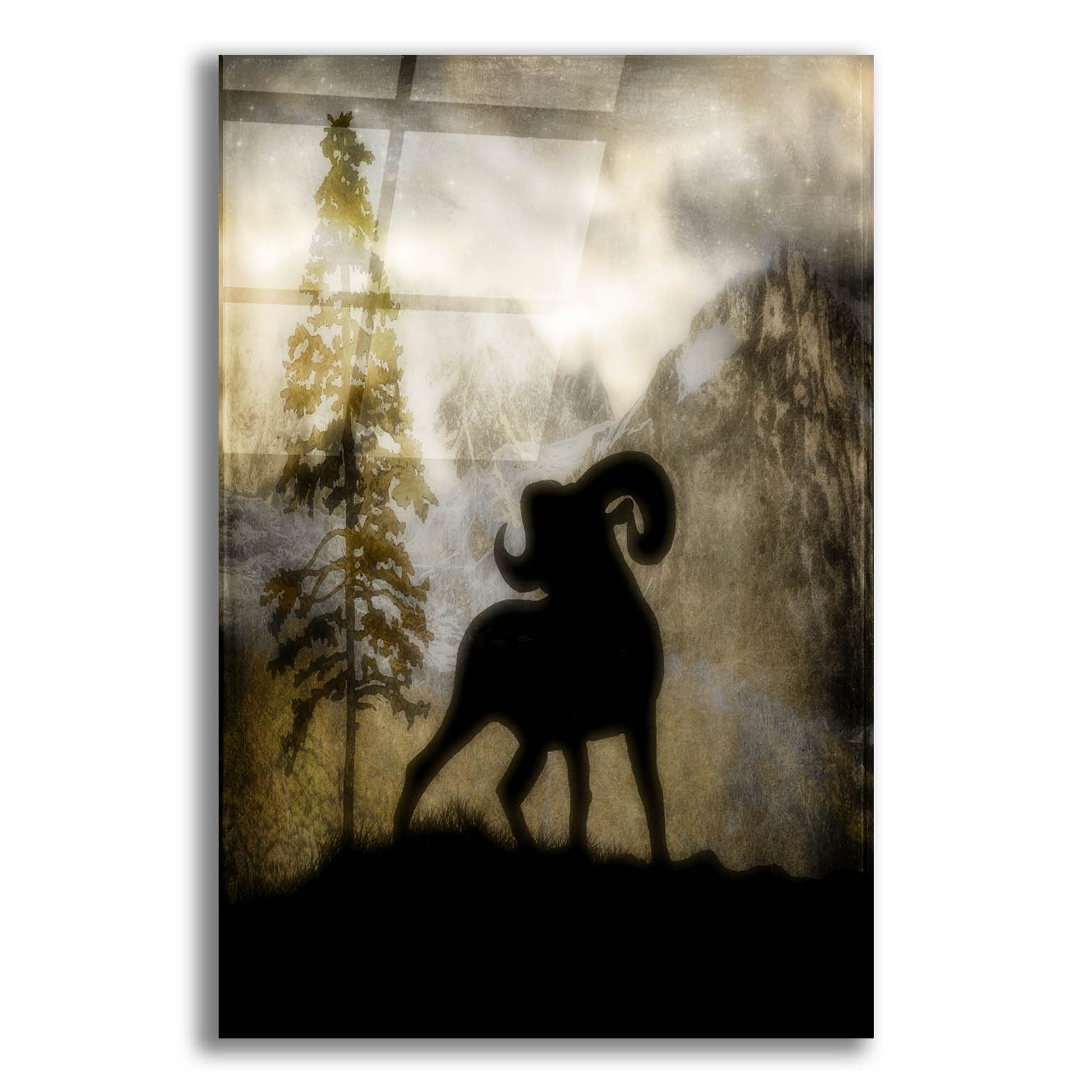 Epic Art 'Mystic Big Horn' by Lightbox Journal, Acrylic Glass Wall Art,12x16