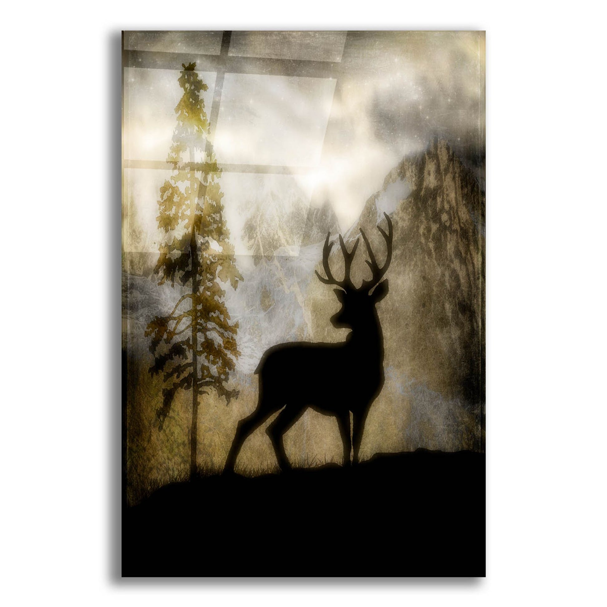 Epic Art 'Mystic Deer' by Lightbox Journal, Acrylic Glass Wall Art,12x16