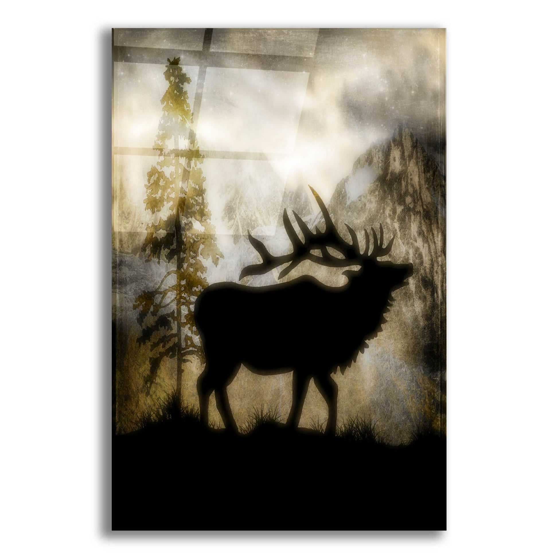 Epic Art 'Mystic Elk' by Lightbox Journal, Acrylic Glass Wall Art,12x16