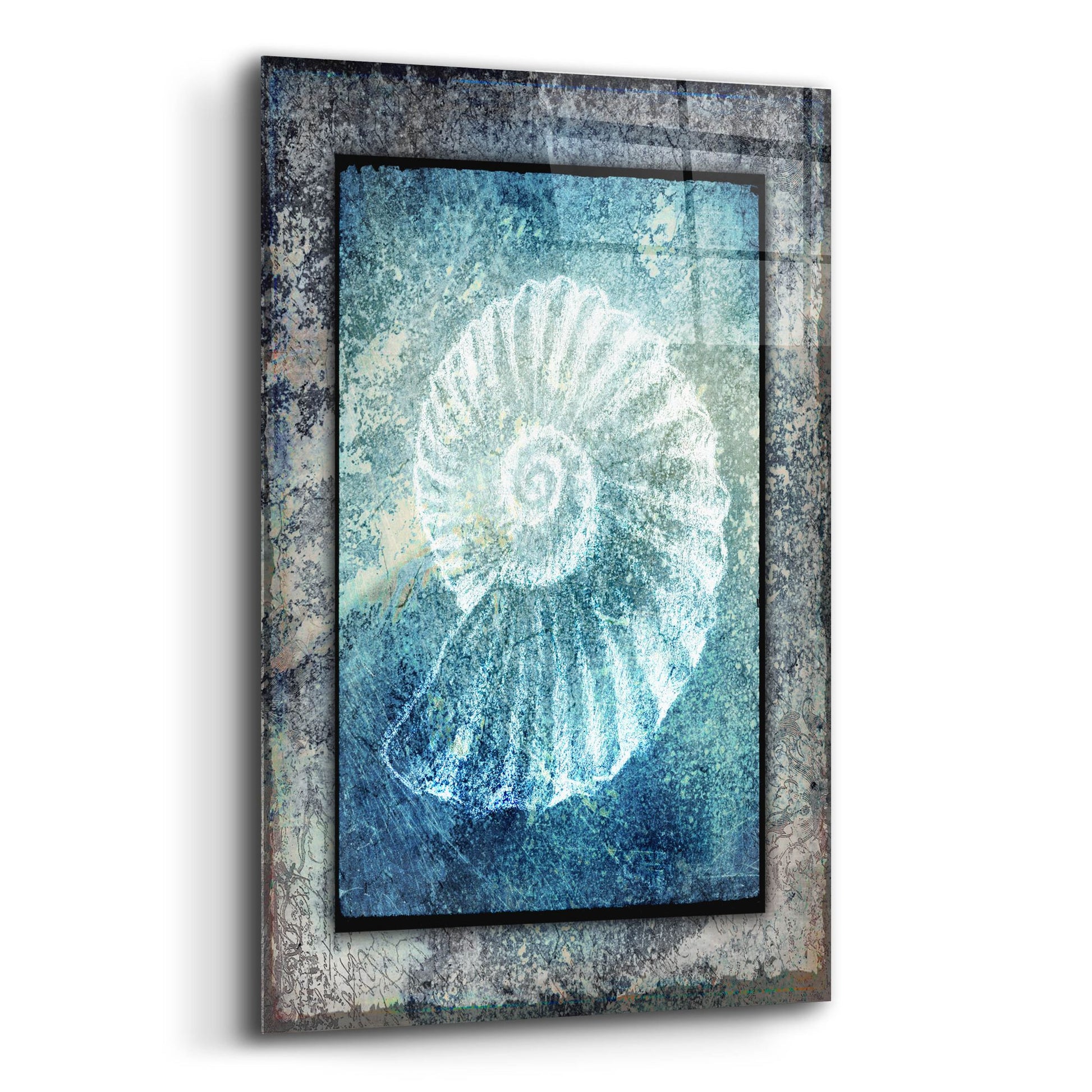 Epic Art 'Hello Beach Shell I' by Lightbox Journal, Acrylic Glass Wall Art,12x16