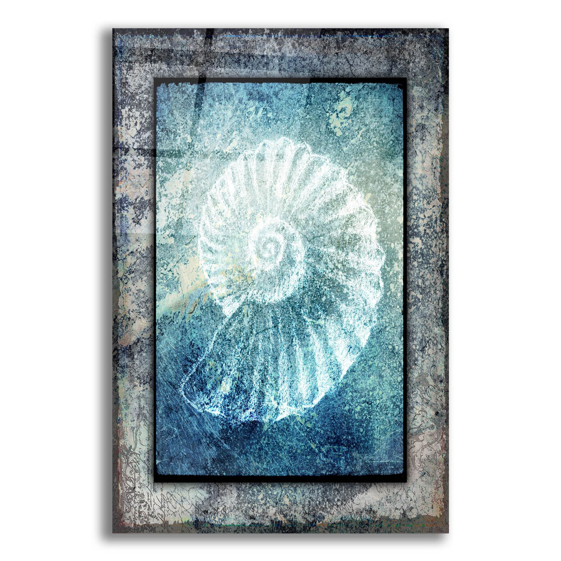 Epic Art 'Hello Beach Shell I' by Lightbox Journal, Acrylic Glass Wall Art,12x16