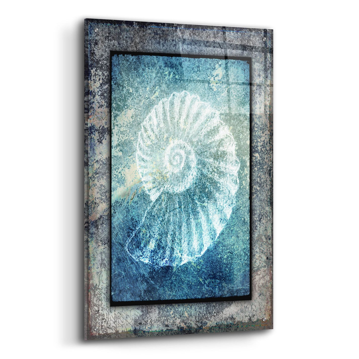 Epic Art 'Hello Beach Shell I' by Lightbox Journal, Acrylic Glass Wall Art,24x36