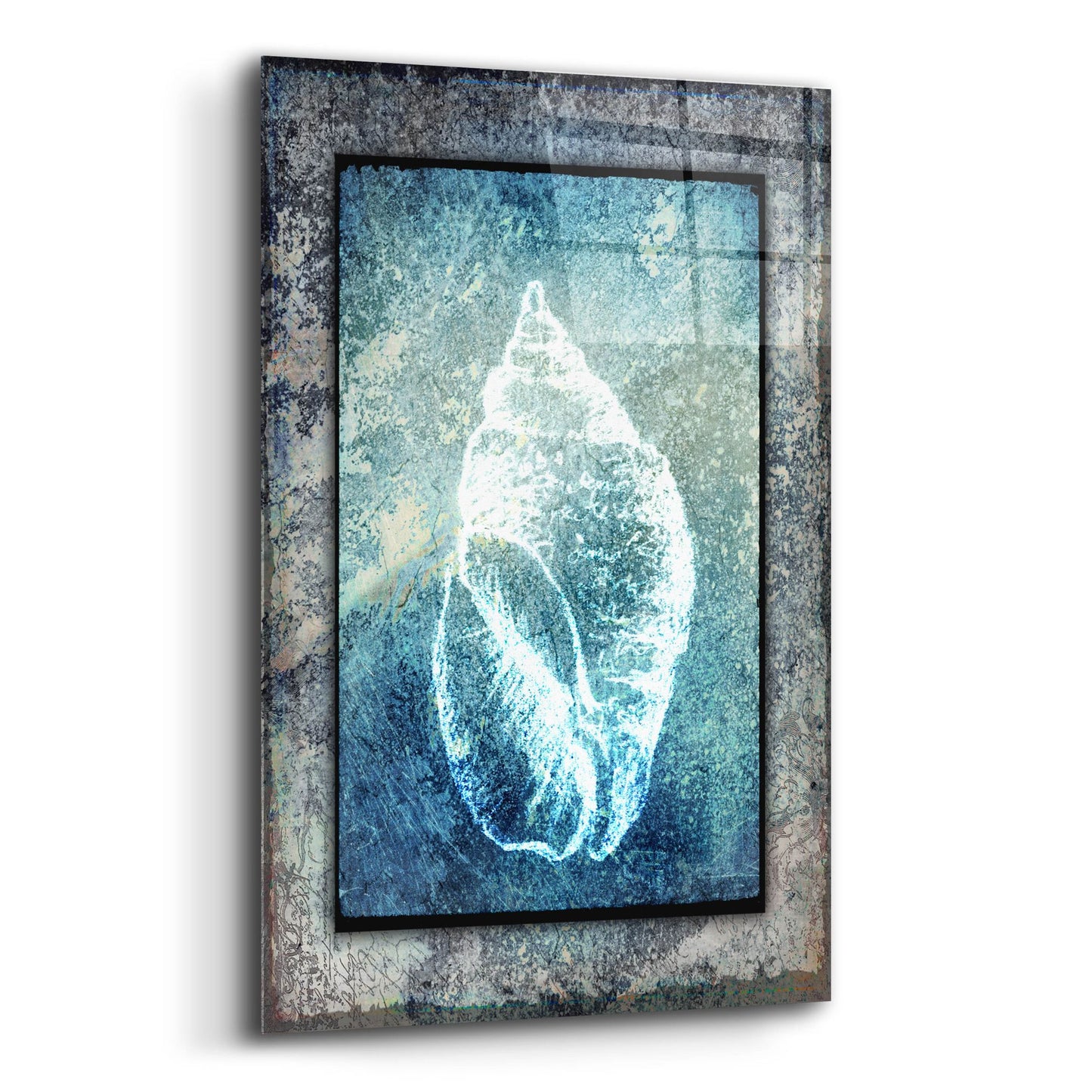 Epic Art 'Hello Beach Shell II' by Lightbox Journal, Acrylic Glass Wall Art,12x16