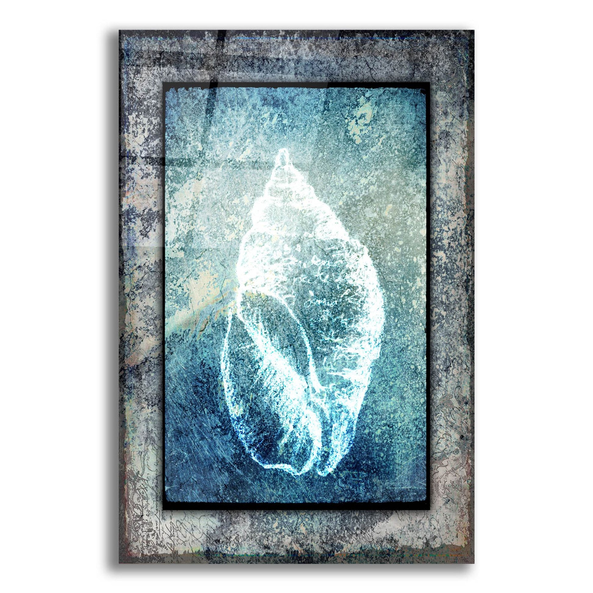 Epic Art 'Hello Beach Shell II' by Lightbox Journal, Acrylic Glass Wall Art,12x16