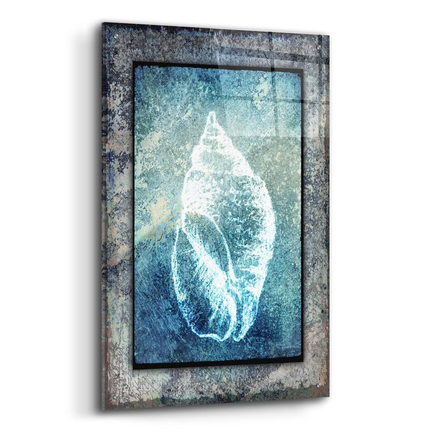 Epic Art 'Hello Beach Shell II' by Lightbox Journal, Acrylic Glass Wall Art,24x36