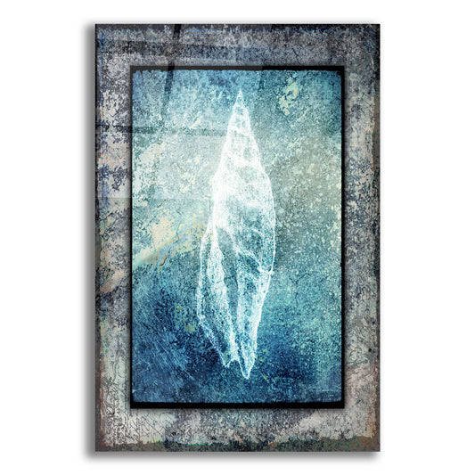 Epic Art 'Hello Beach Shell III' by Lightbox Journal, Acrylic Glass Wall Art