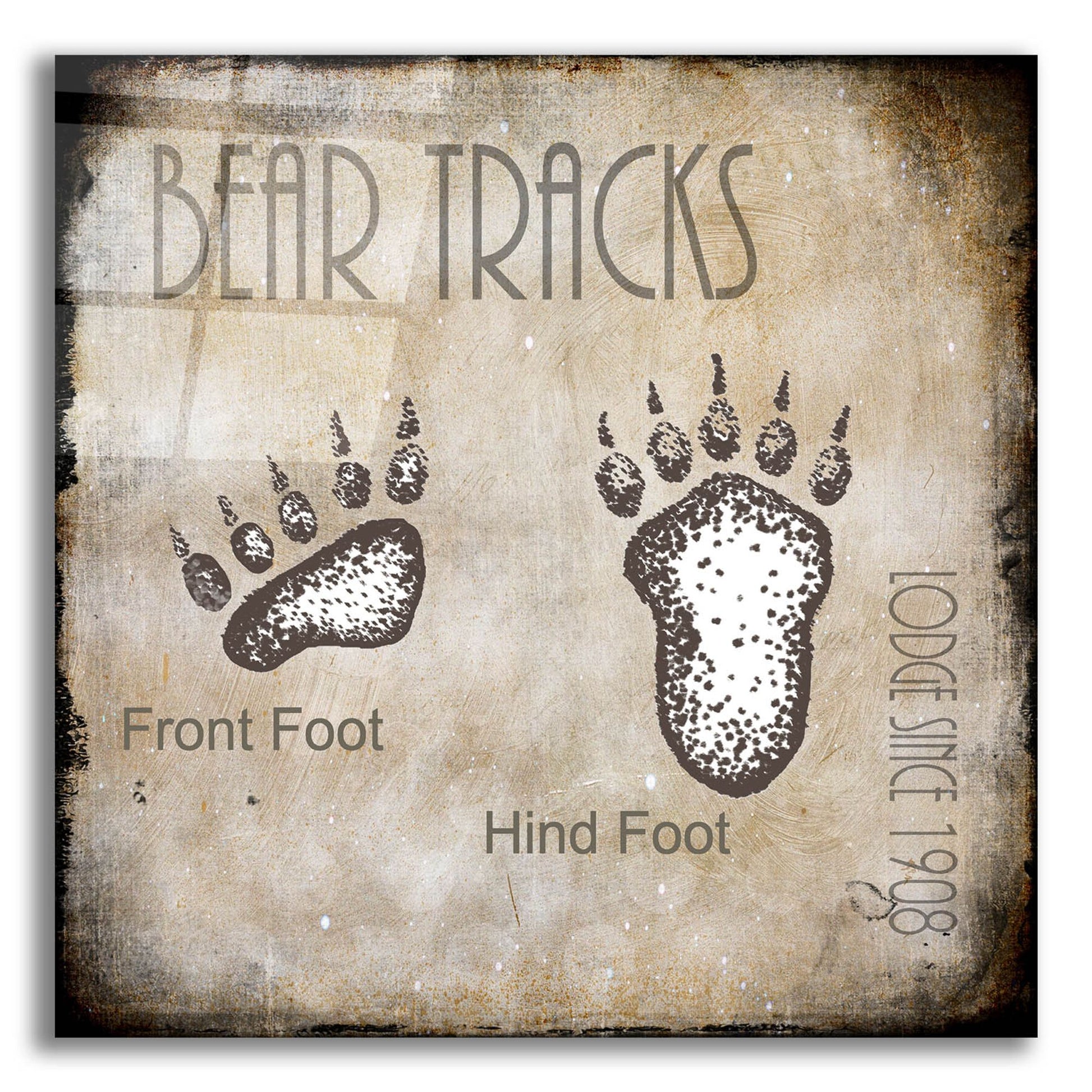 Epic Art 'Moose Lodge 2 - Bear Tracks 2' by Lightbox Journal, Acrylic Glass Wall Art,12x12