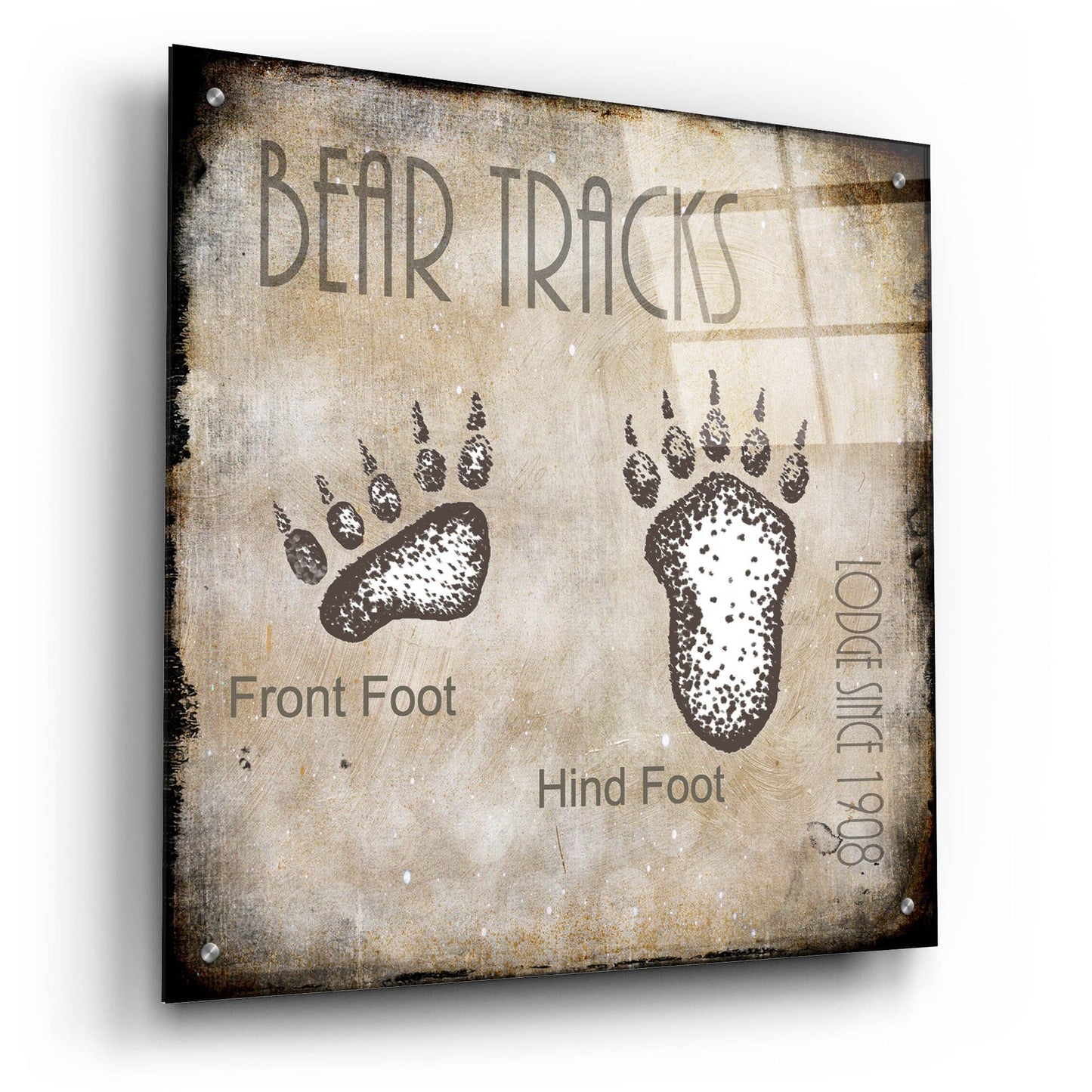 Epic Art 'Moose Lodge 2 - Bear Tracks 2' by Lightbox Journal, Acrylic Glass Wall Art,24x24