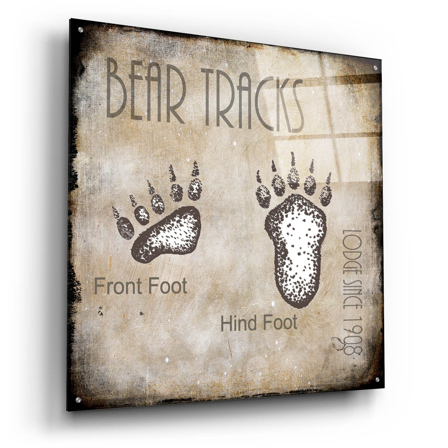 Epic Art 'Moose Lodge 2 - Bear Tracks 2' by Lightbox Journal, Acrylic Glass Wall Art,36x36