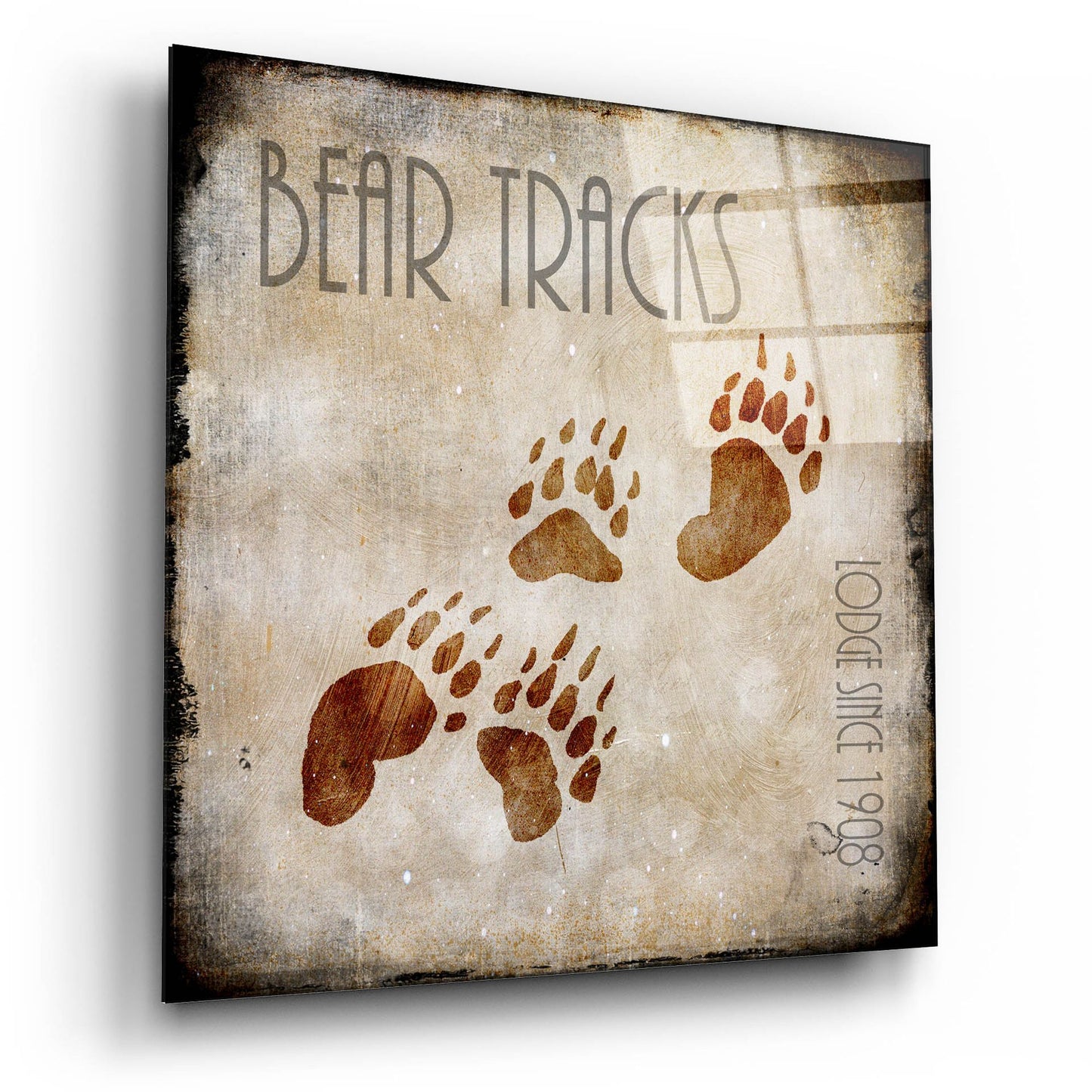 Epic Art 'Moose Lodge 2 - Bear Tracks' by Lightbox Journal, Acrylic Glass Wall Art,12x12