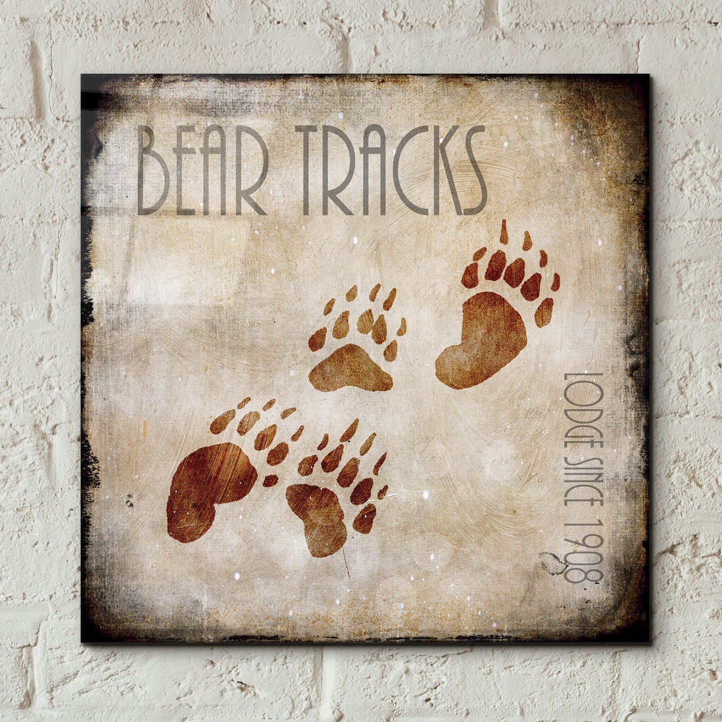 Epic Art 'Moose Lodge 2 - Bear Tracks' by Lightbox Journal, Acrylic Glass Wall Art,12x12