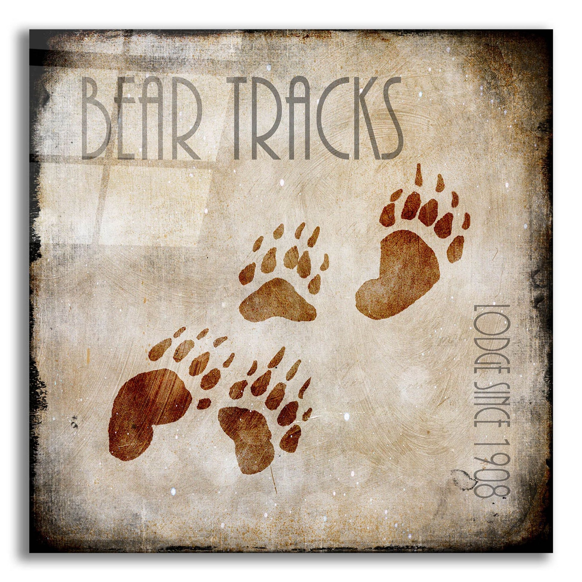 Epic Art 'Moose Lodge 2 - Bear Tracks' by Lightbox Journal, Acrylic Glass Wall Art,12x12