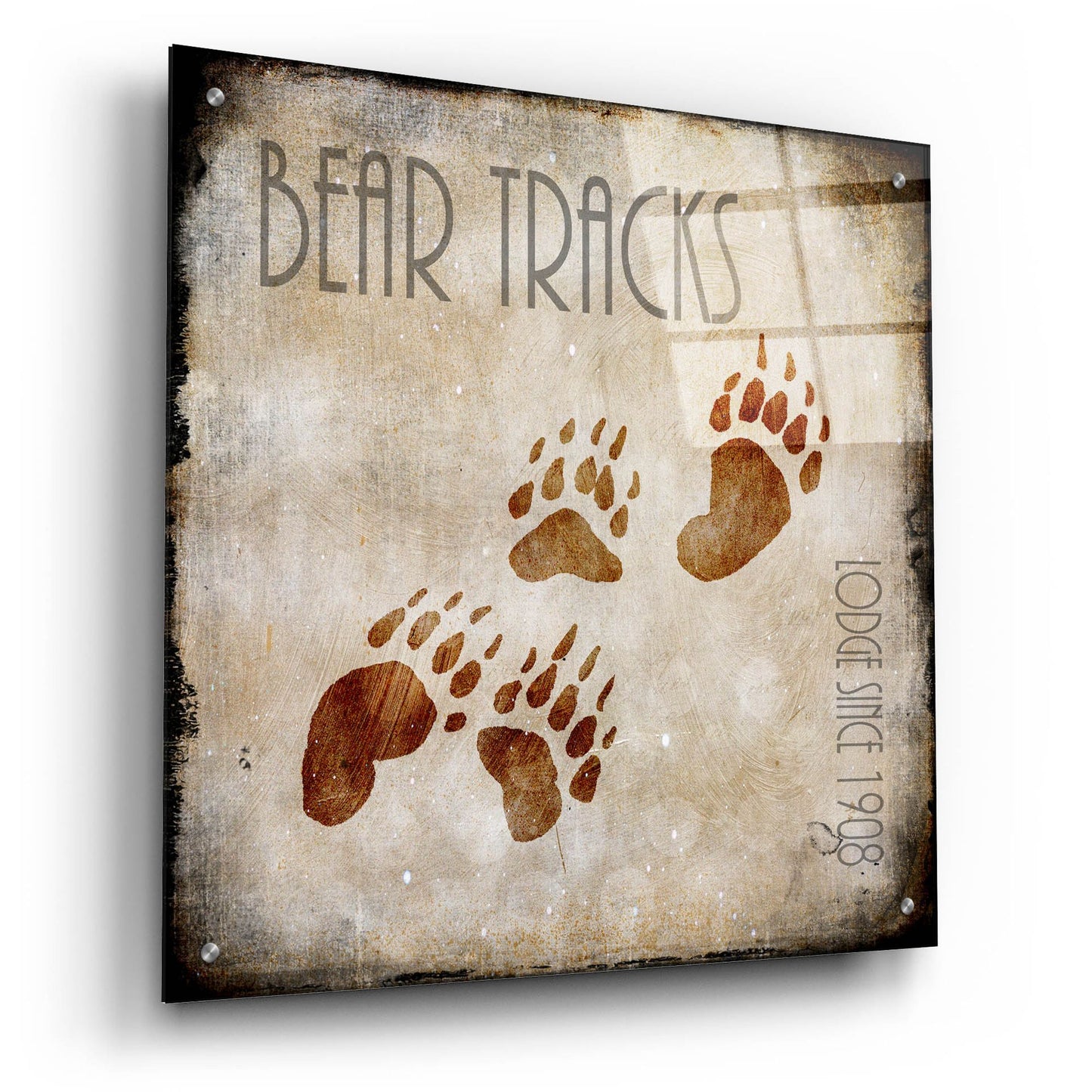 Epic Art 'Moose Lodge 2 - Bear Tracks' by Lightbox Journal, Acrylic Glass Wall Art,24x24