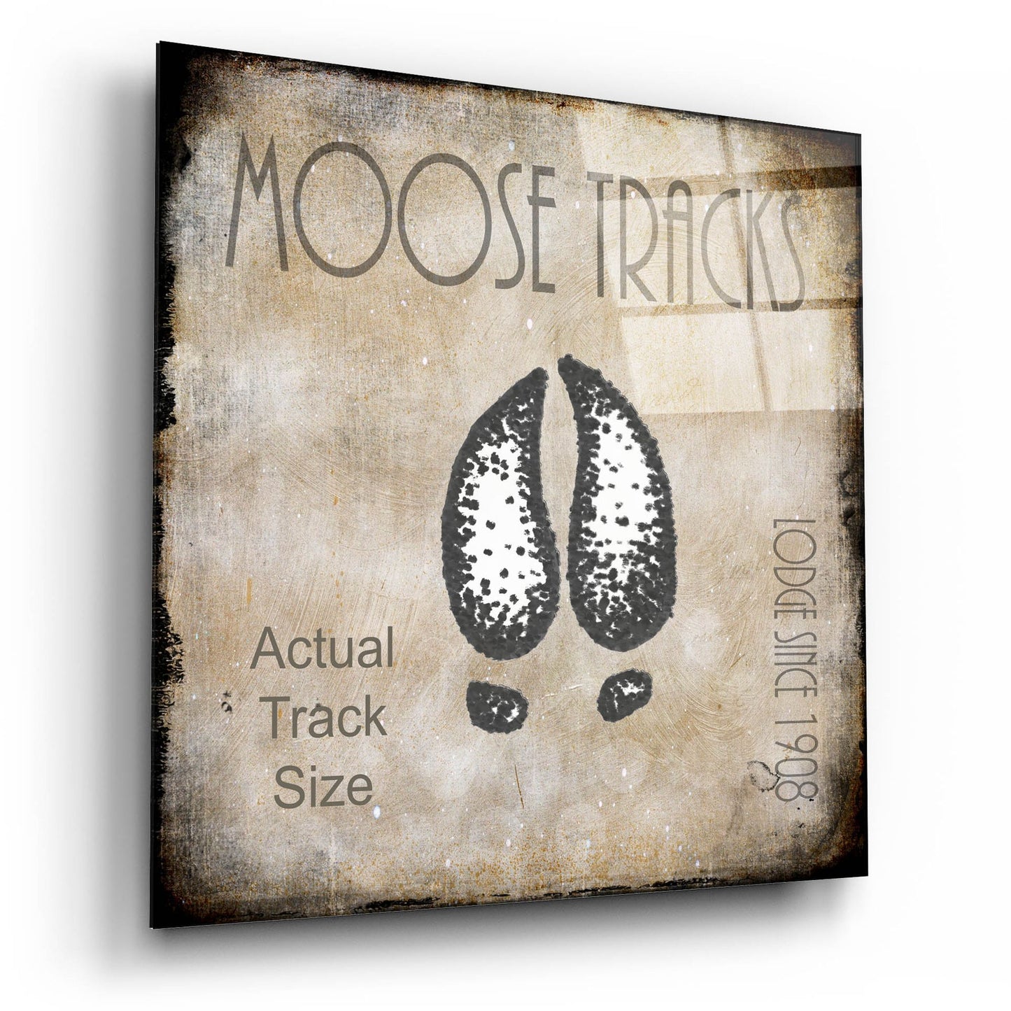 Epic Art 'Moose Lodge 2 - Moose Tracks 2' by Lightbox Journal, Acrylic Glass Wall Art,12x12