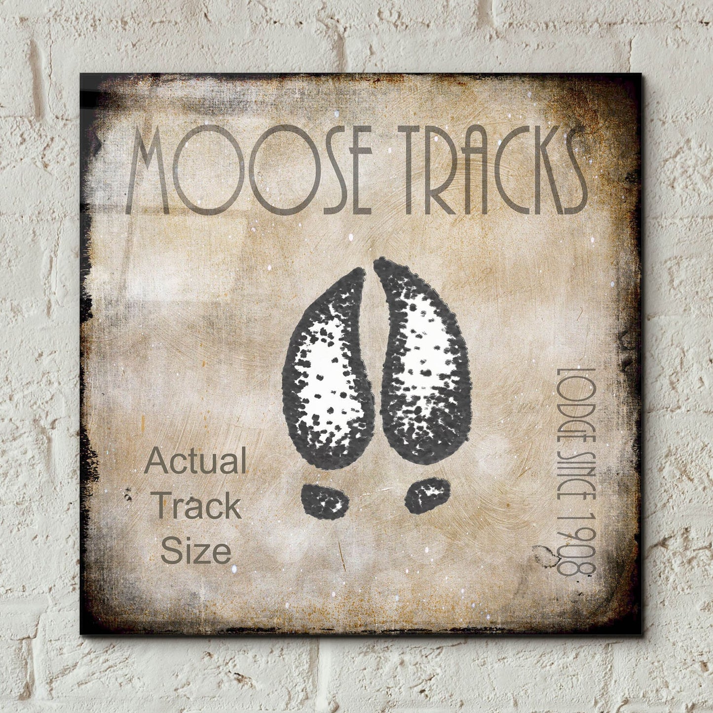 Epic Art 'Moose Lodge 2 - Moose Tracks 2' by Lightbox Journal, Acrylic Glass Wall Art,12x12