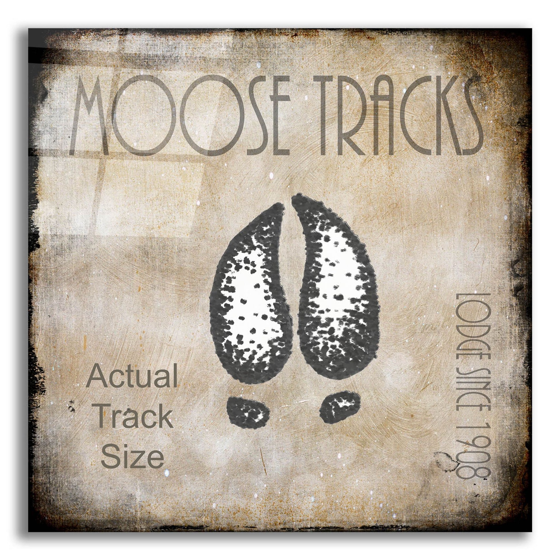 Epic Art 'Moose Lodge 2 - Moose Tracks 2' by Lightbox Journal, Acrylic Glass Wall Art,12x12