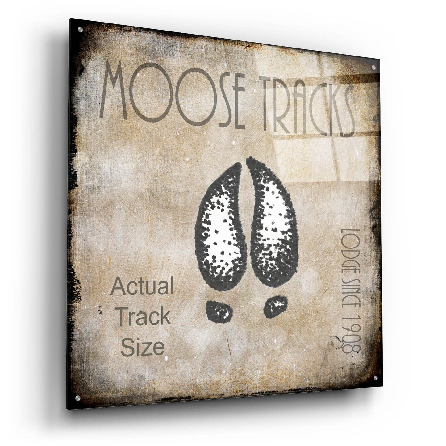 Epic Art 'Moose Lodge 2 - Moose Tracks 2' by Lightbox Journal, Acrylic Glass Wall Art,36x36