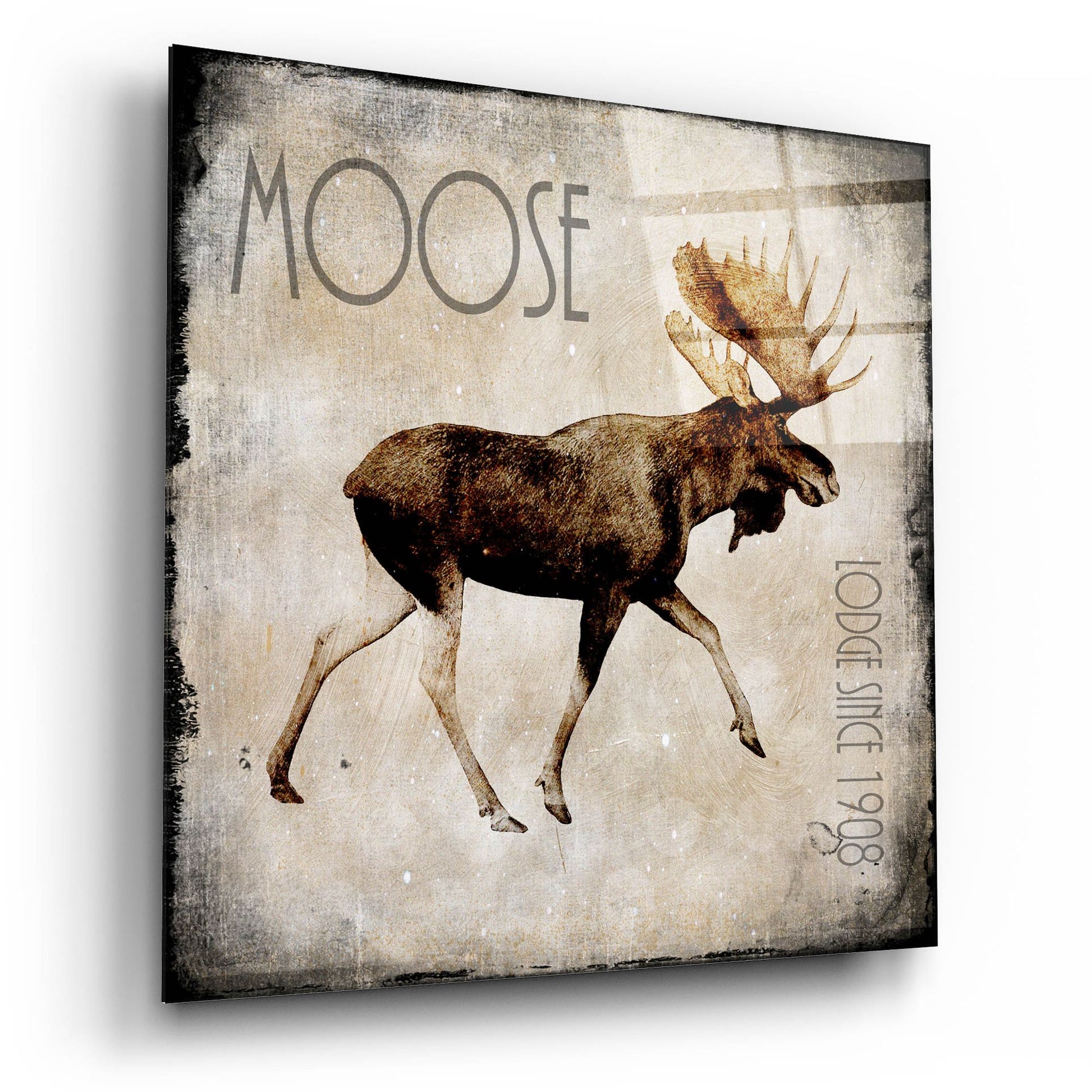 Epic Art 'Moose Lodge 2' by Lightbox Journal, Acrylic Glass Wall Art,12x12