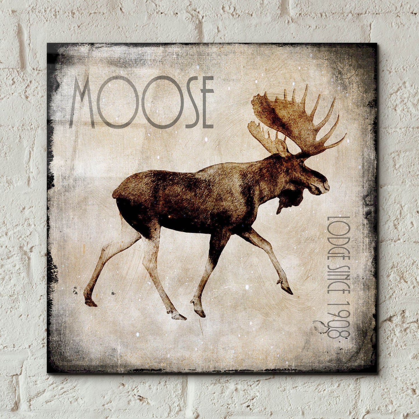 Epic Art 'Moose Lodge 2' by Lightbox Journal, Acrylic Glass Wall Art,12x12