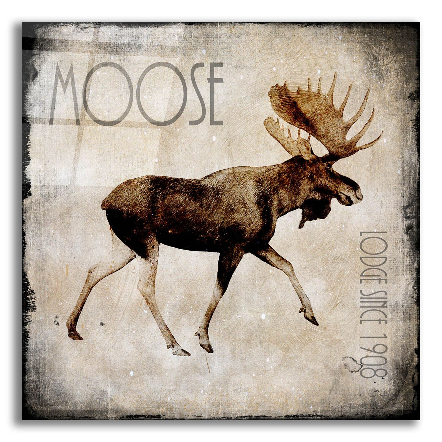 Epic Art 'Moose Lodge 2' by Lightbox Journal, Acrylic Glass Wall Art,12x12