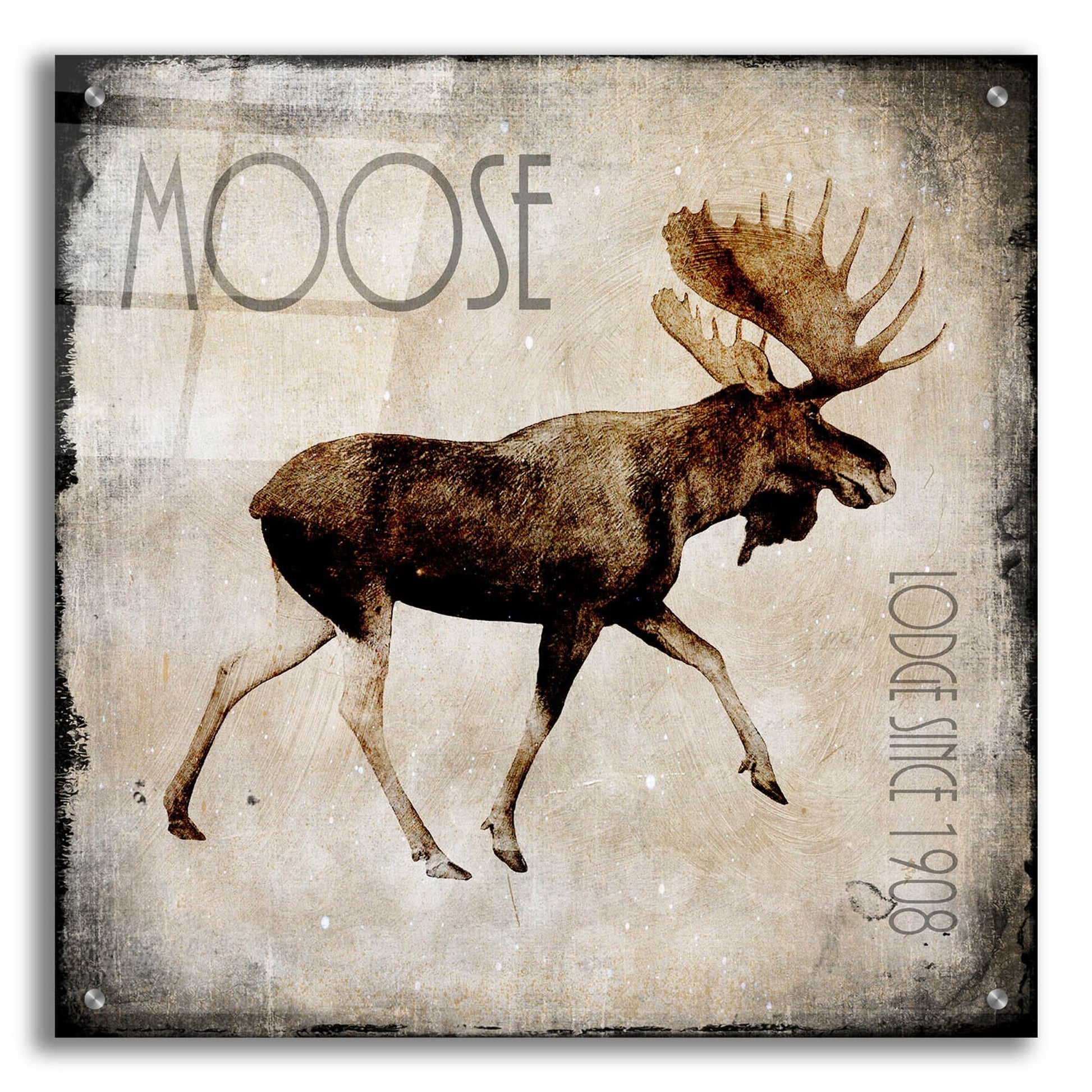 Epic Art 'Moose Lodge 2' by Lightbox Journal, Acrylic Glass Wall Art,24x24