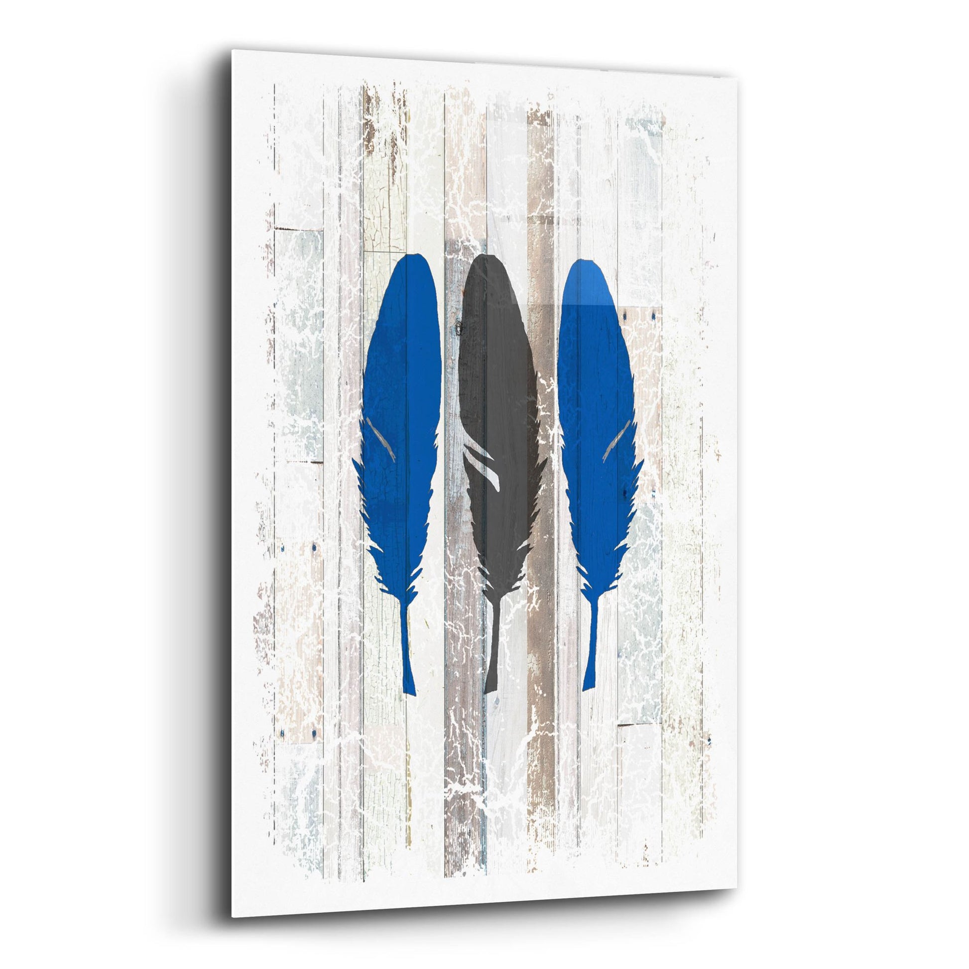 Epic Art 'The Blue Moose - Feathers' by Lightbox Journal, Acrylic Glass Wall Art,12x16