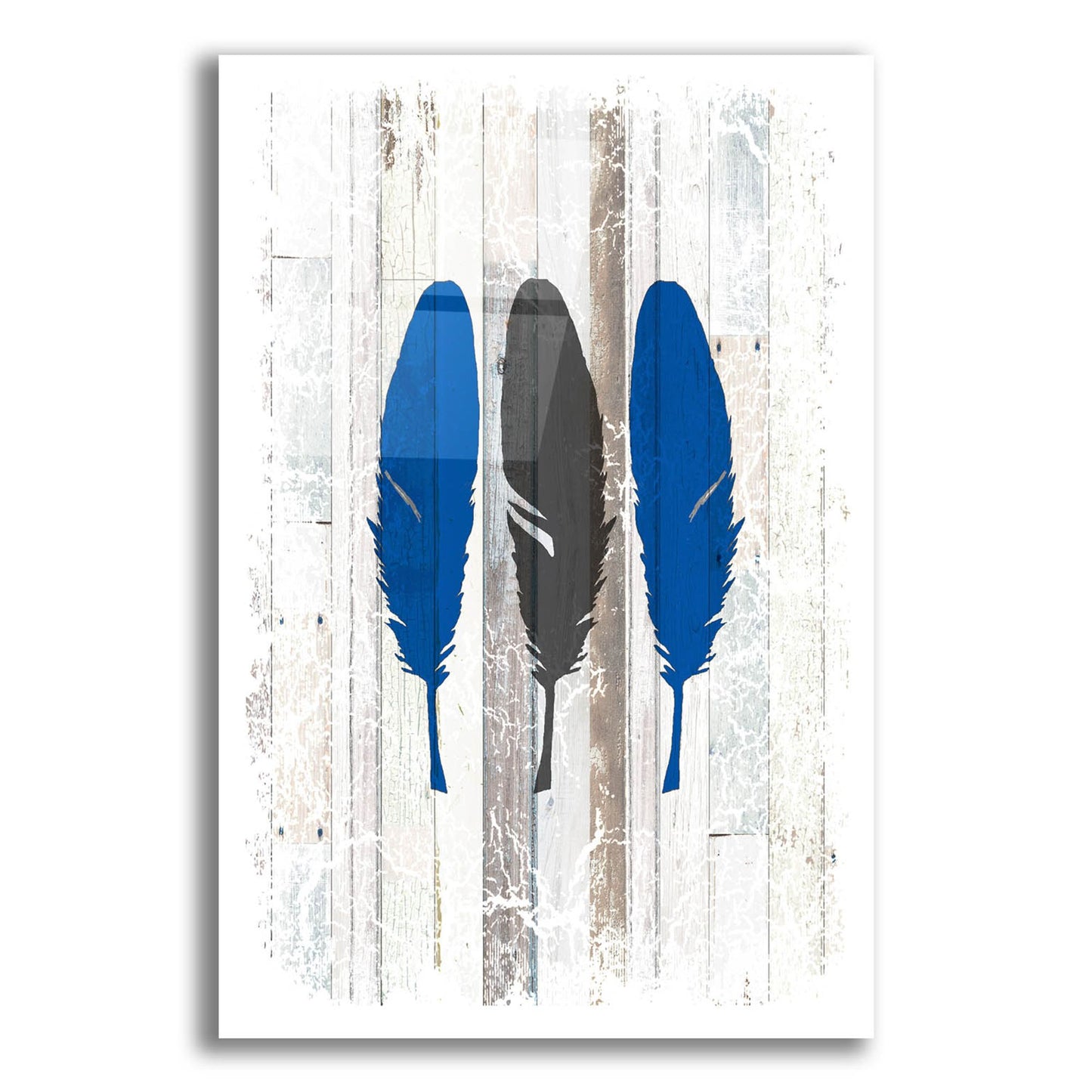 Epic Art 'The Blue Moose - Feathers' by Lightbox Journal, Acrylic Glass Wall Art,12x16