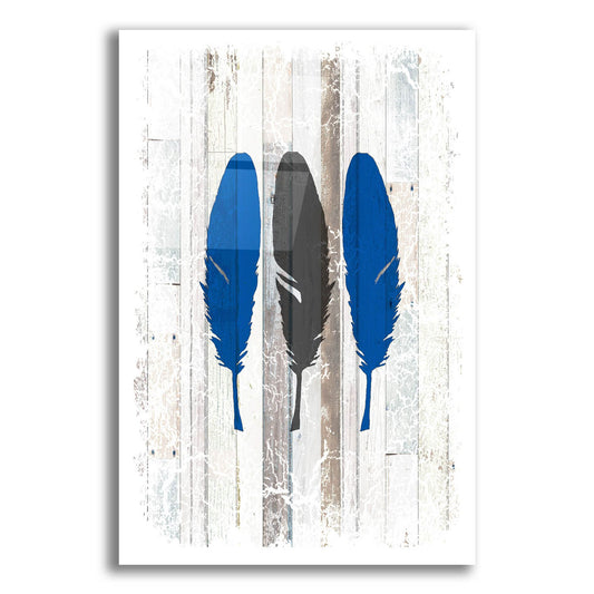 Epic Art 'The Blue Moose - Feathers' by Lightbox Journal, Acrylic Glass Wall Art