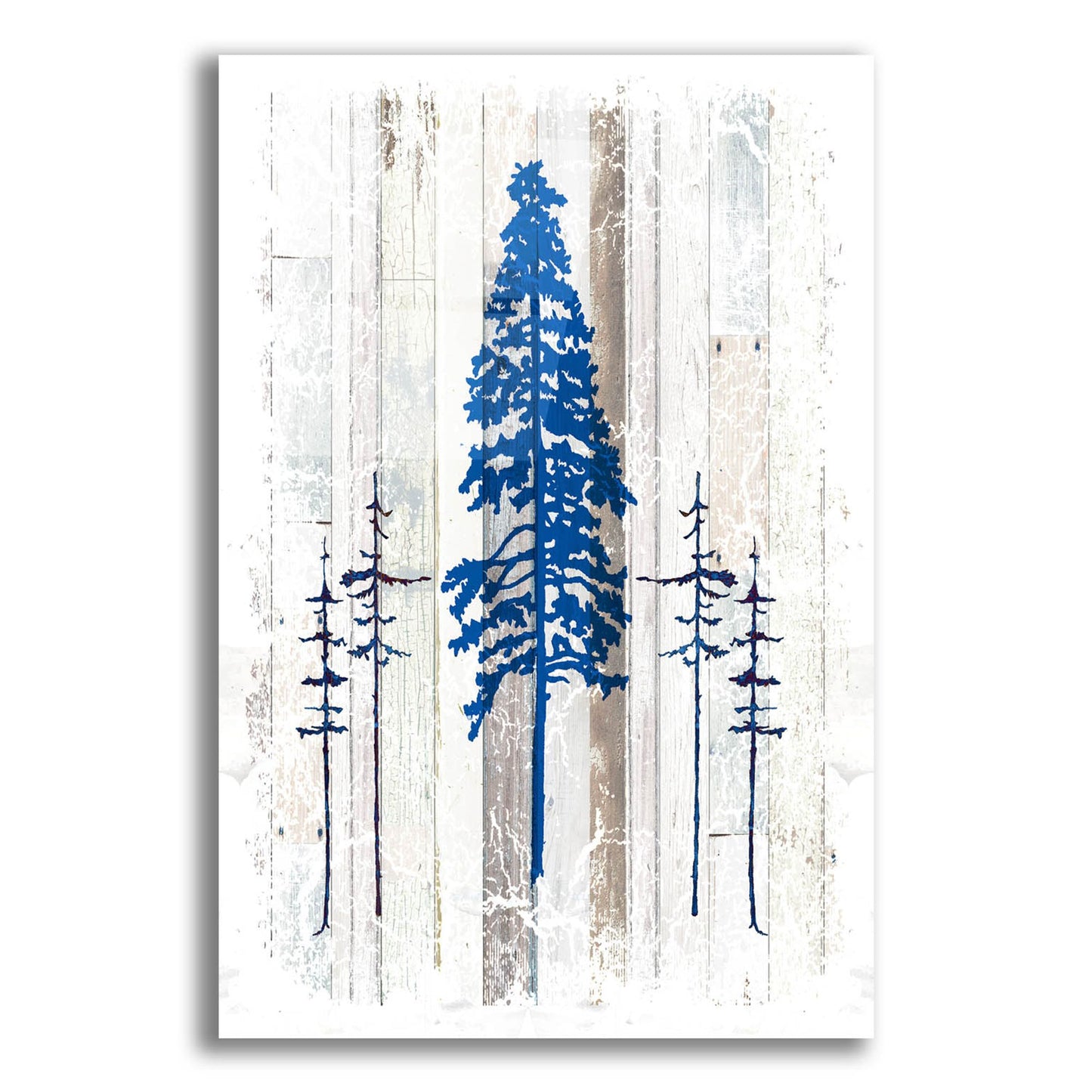 Epic Art 'The Blue Moose - Lodge Pole Pine' by Lightbox Journal, Acrylic Glass Wall Art,12x16