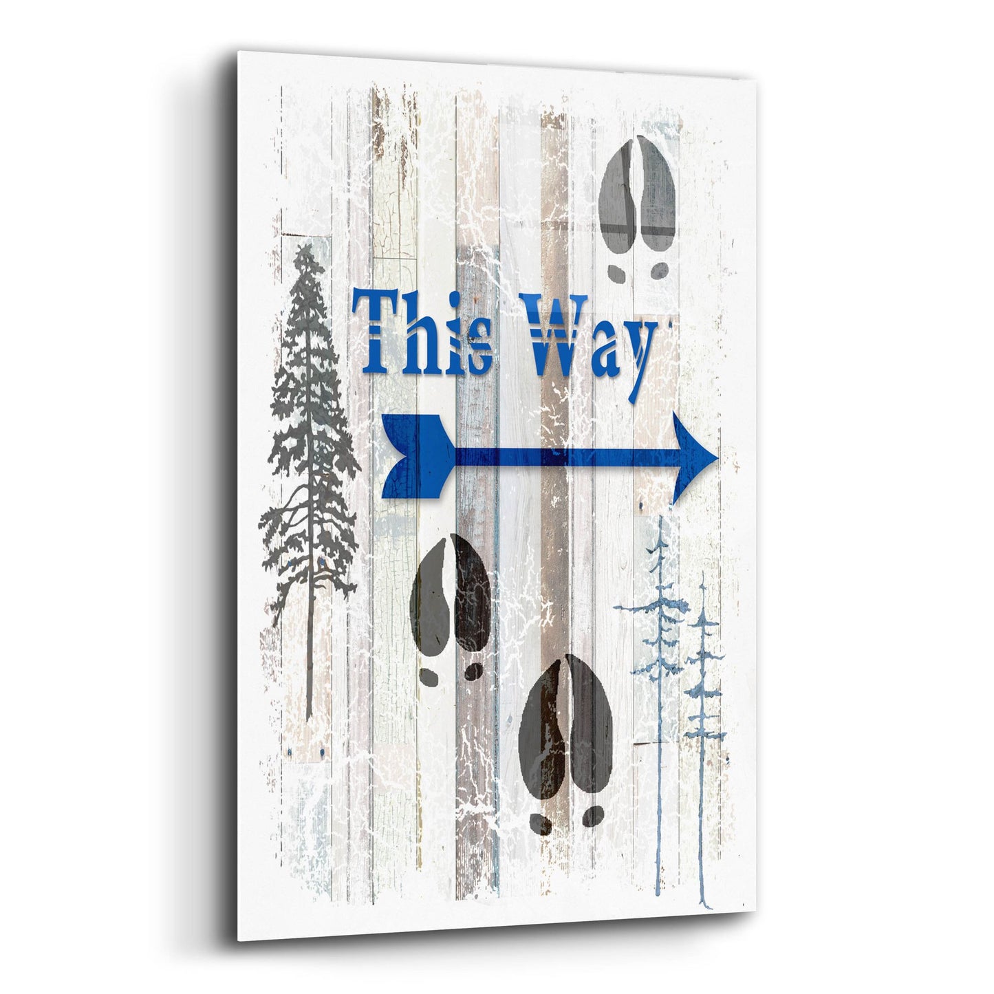 Epic Art 'The Blue Moose - This Way I' by Lightbox Journal, Acrylic Glass Wall Art,12x16