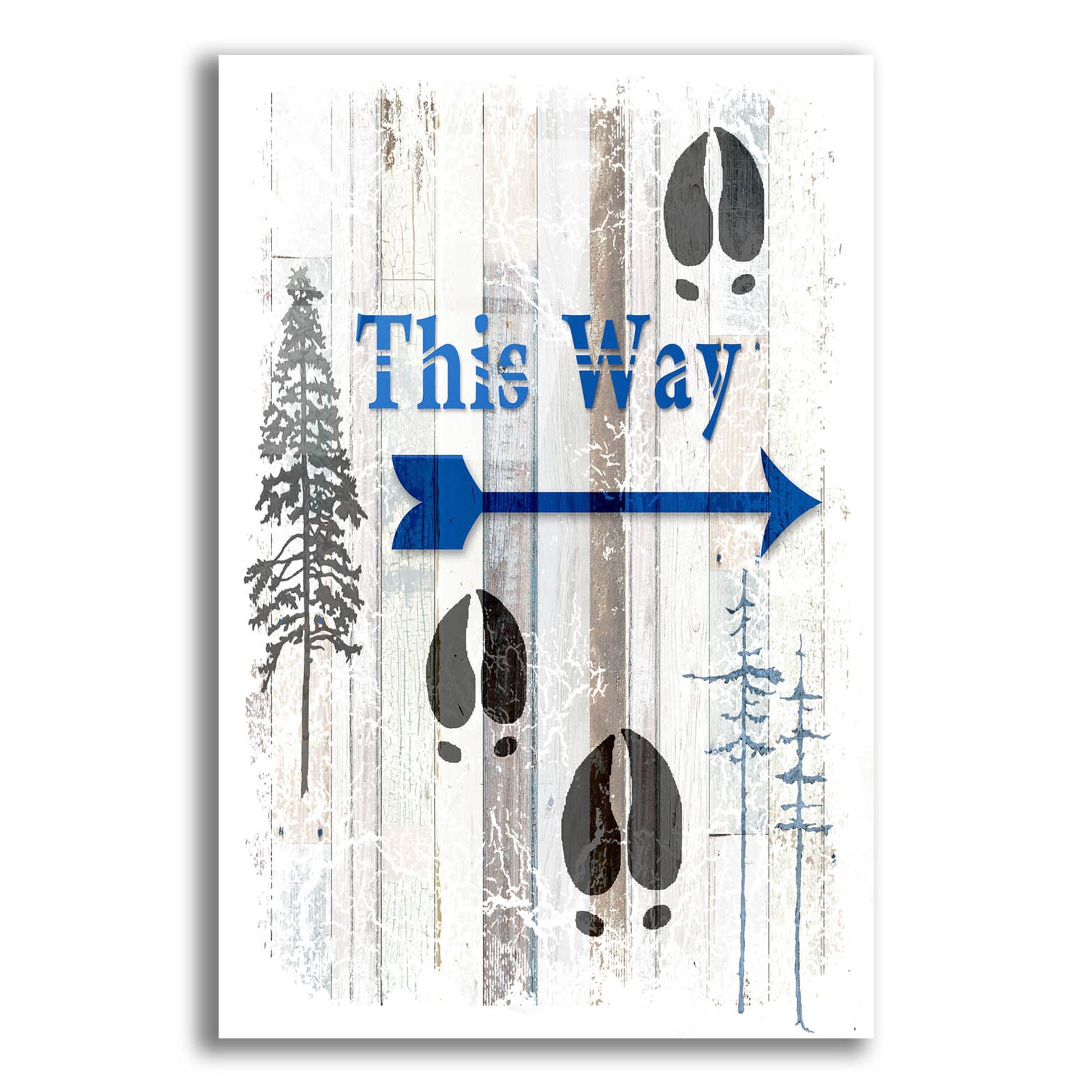 Epic Art 'The Blue Moose - This Way I' by Lightbox Journal, Acrylic Glass Wall Art,16x24