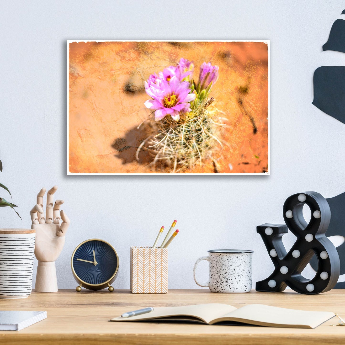 Epic Art 'Desert Flower 4' by Lightbox Journal, Acrylic Glass Wall Art,16x12