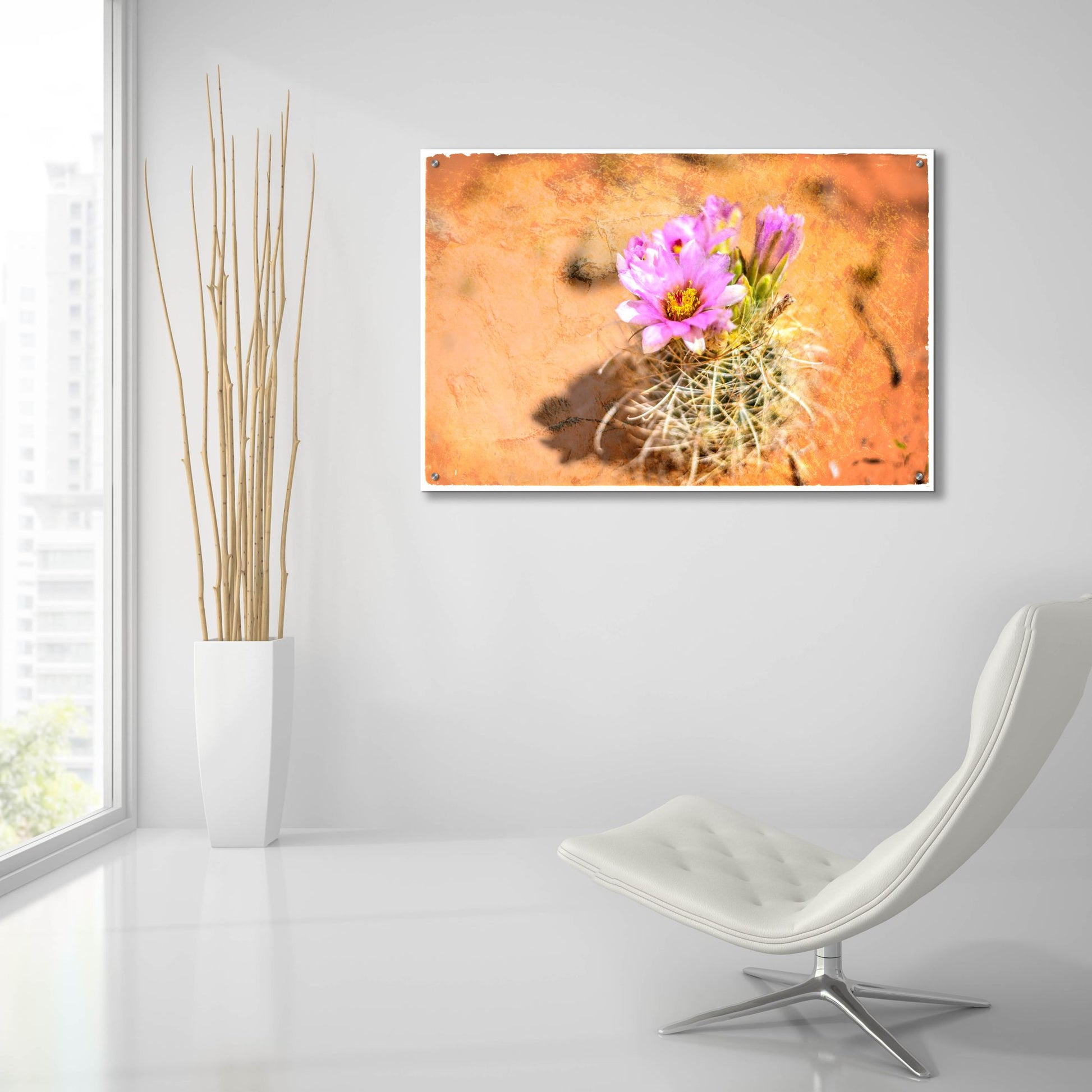 Epic Art 'Desert Flower 4' by Lightbox Journal, Acrylic Glass Wall Art,36x24