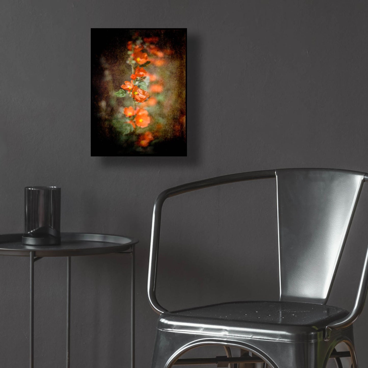 Epic Art 'Desert Flower 5' by Lightbox Journal, Acrylic Glass Wall Art,12x16